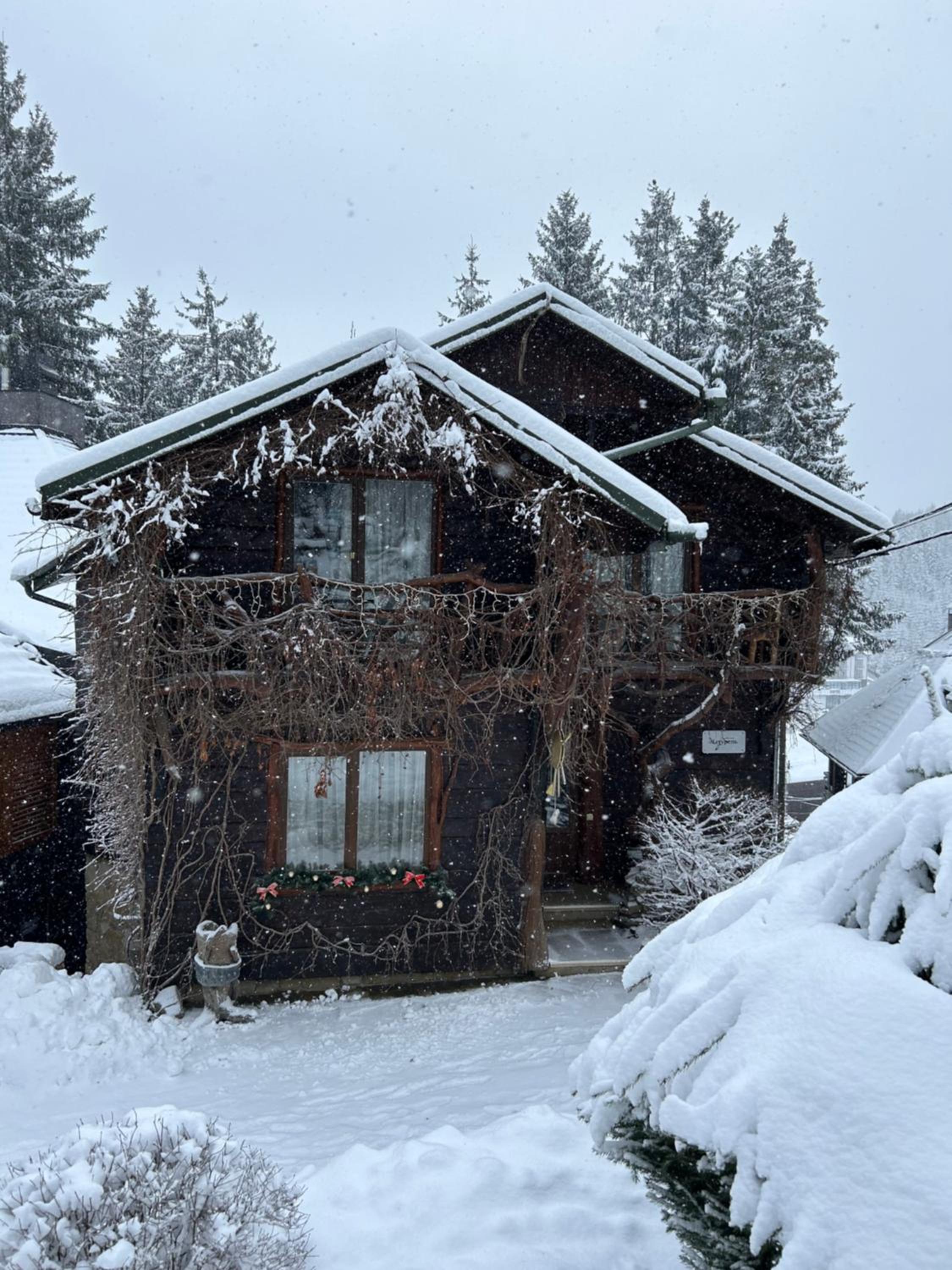Villa Naturel photo 2