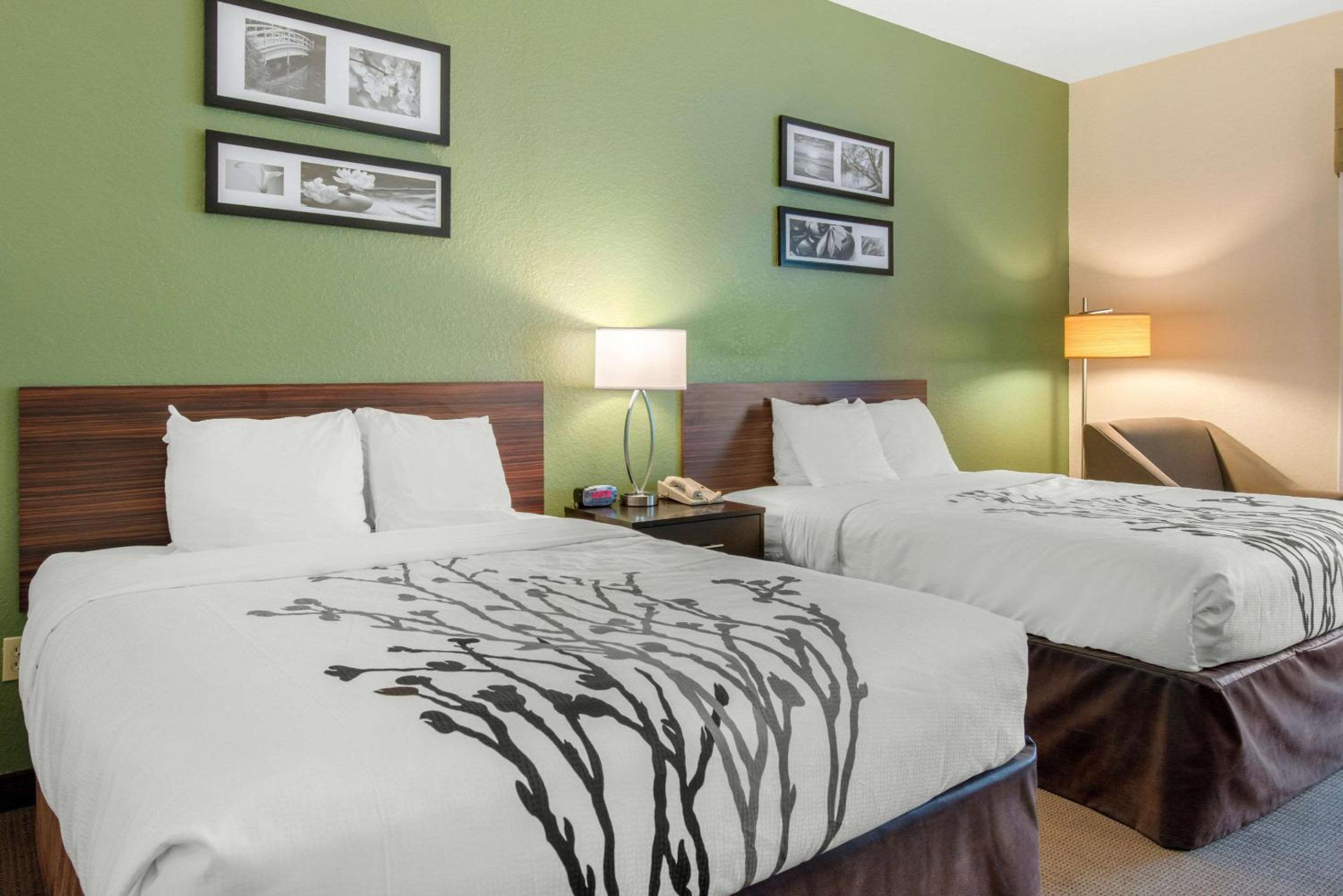 Queen Room with Two Queen Beds - Non-Smoking - Photo 3