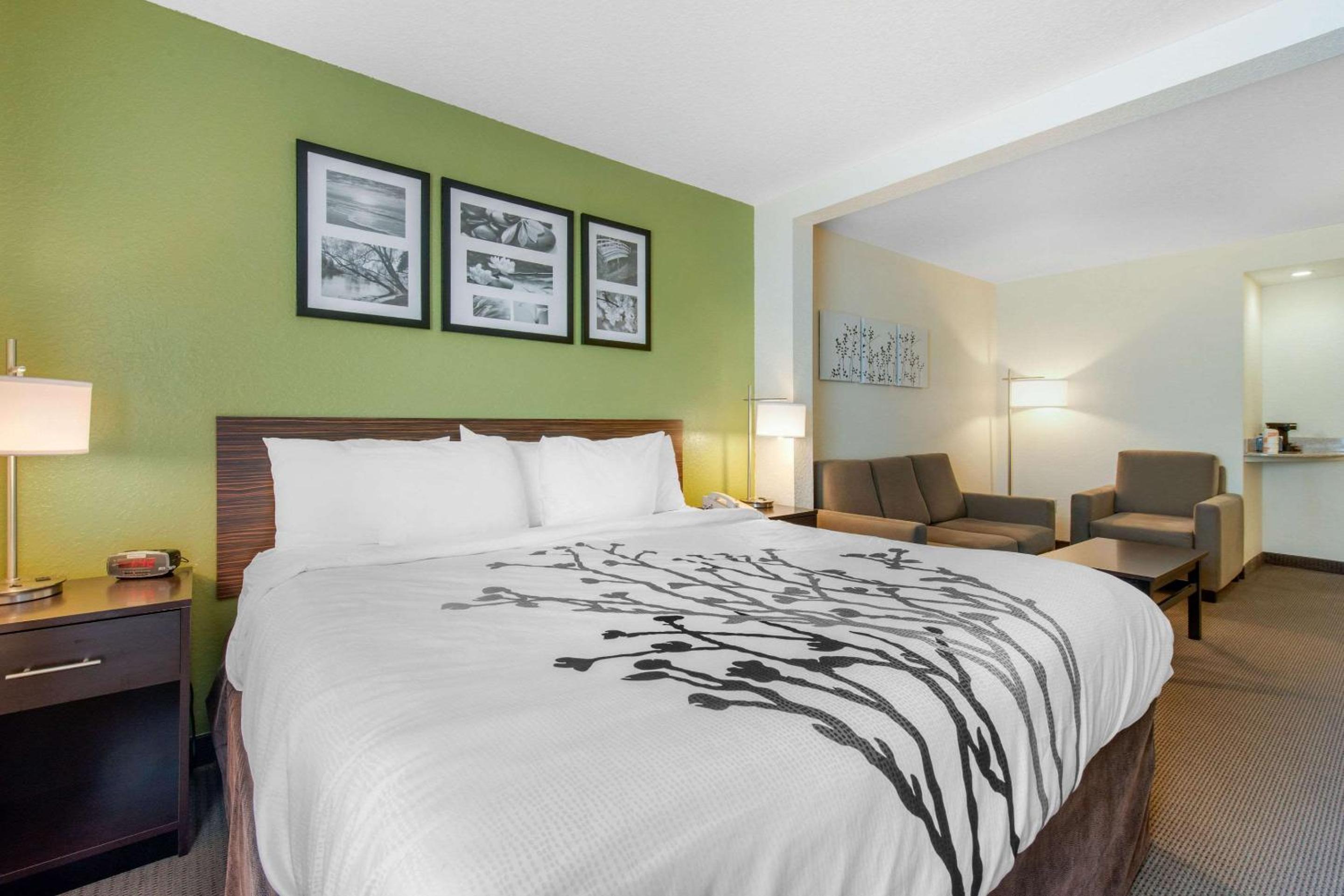 King Suite with Sofa Bed - Non-Smoking - Photo 4