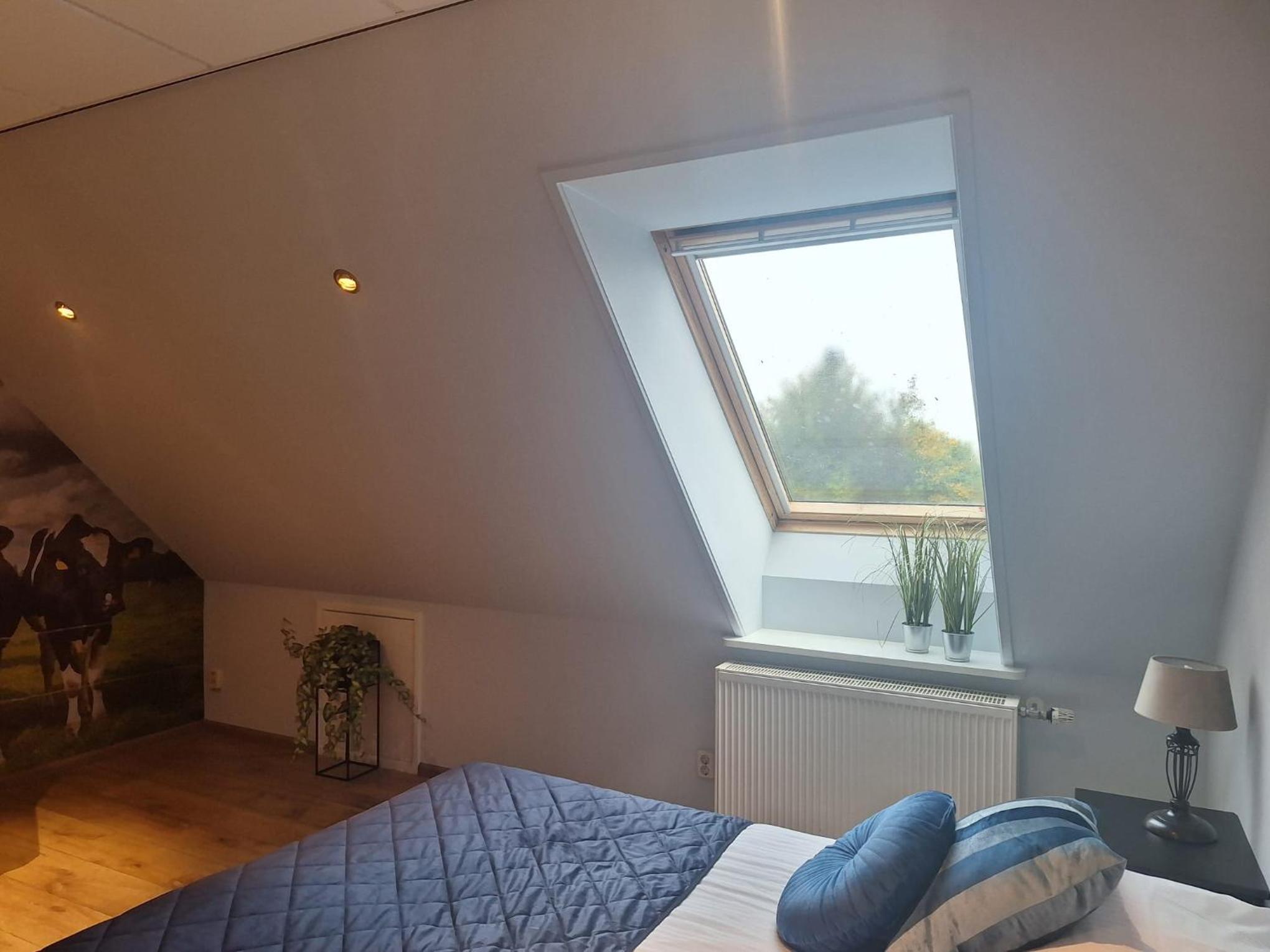 Budget Twin Room photo 2