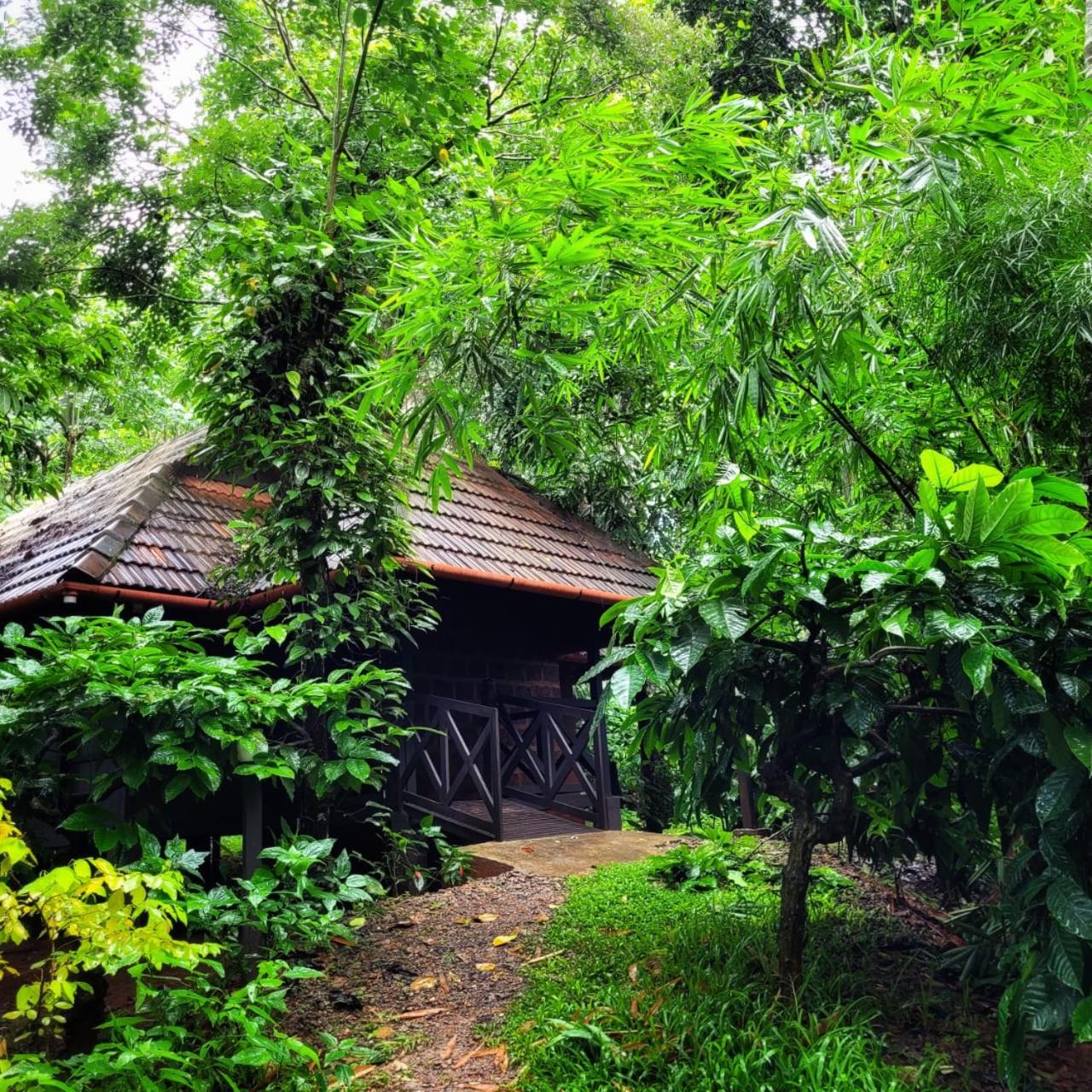 Courtyard Tree Villa photo 3