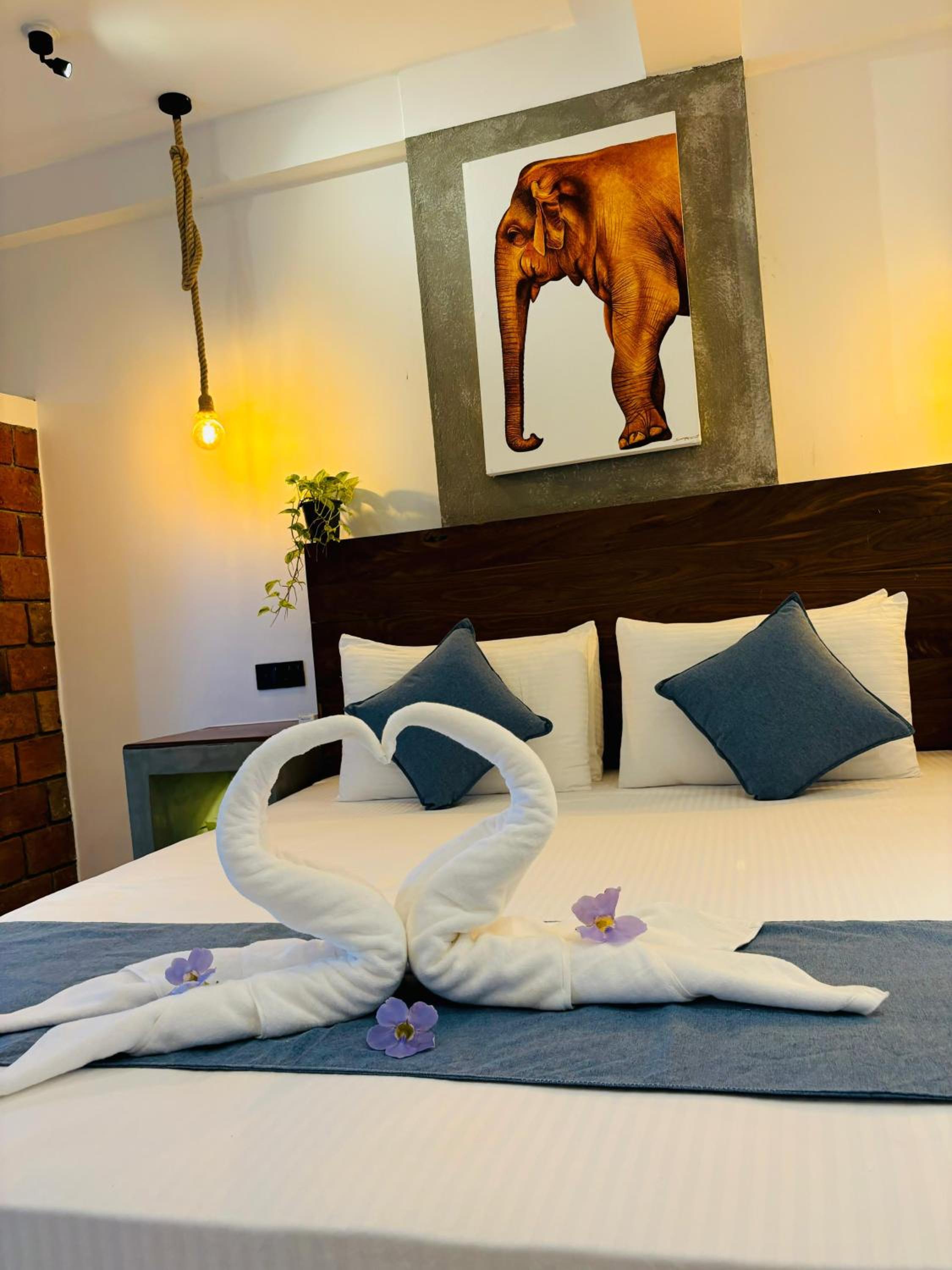 Double Room with Balcony photo 2