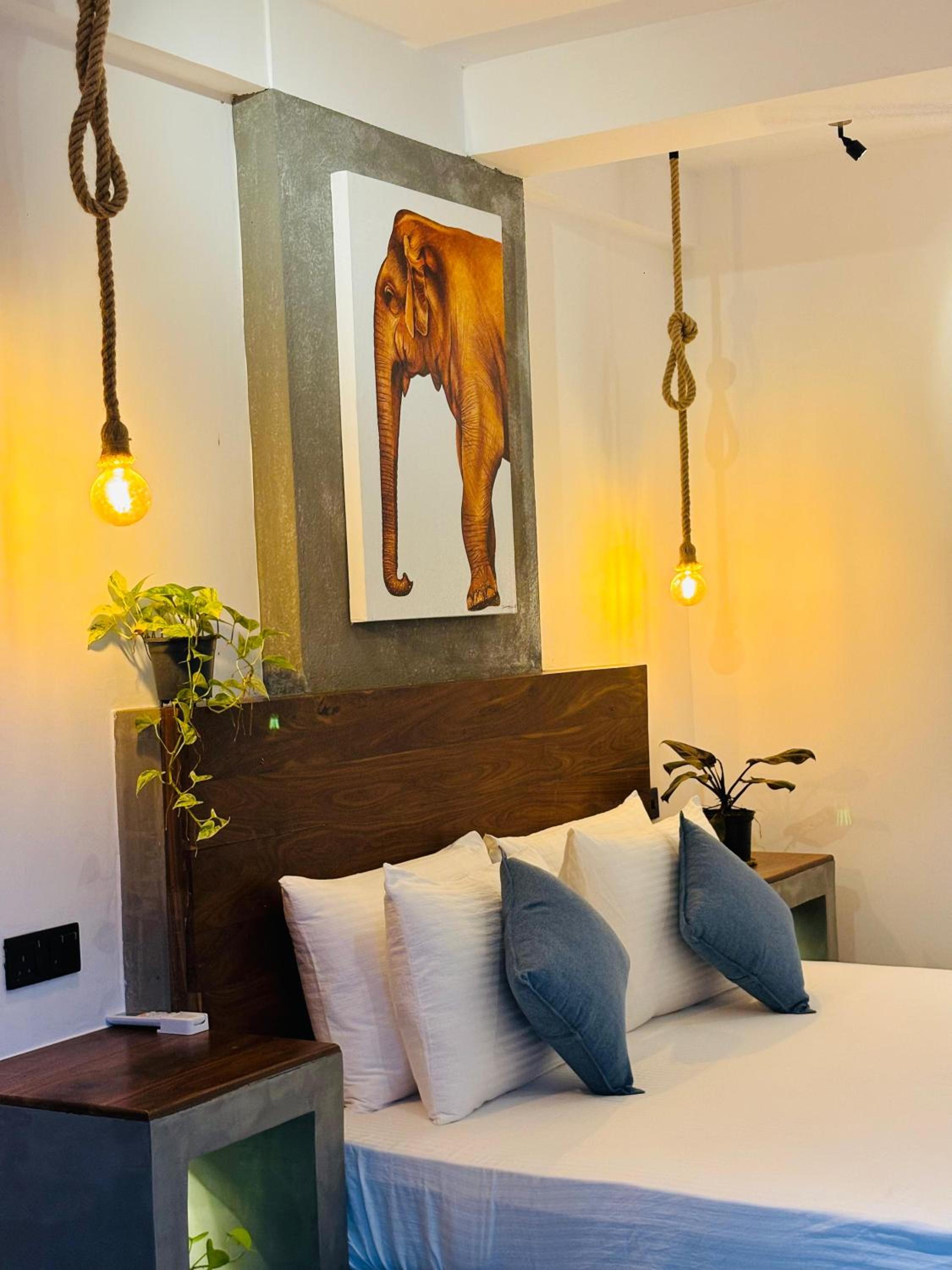 Double Room with Balcony photo 3