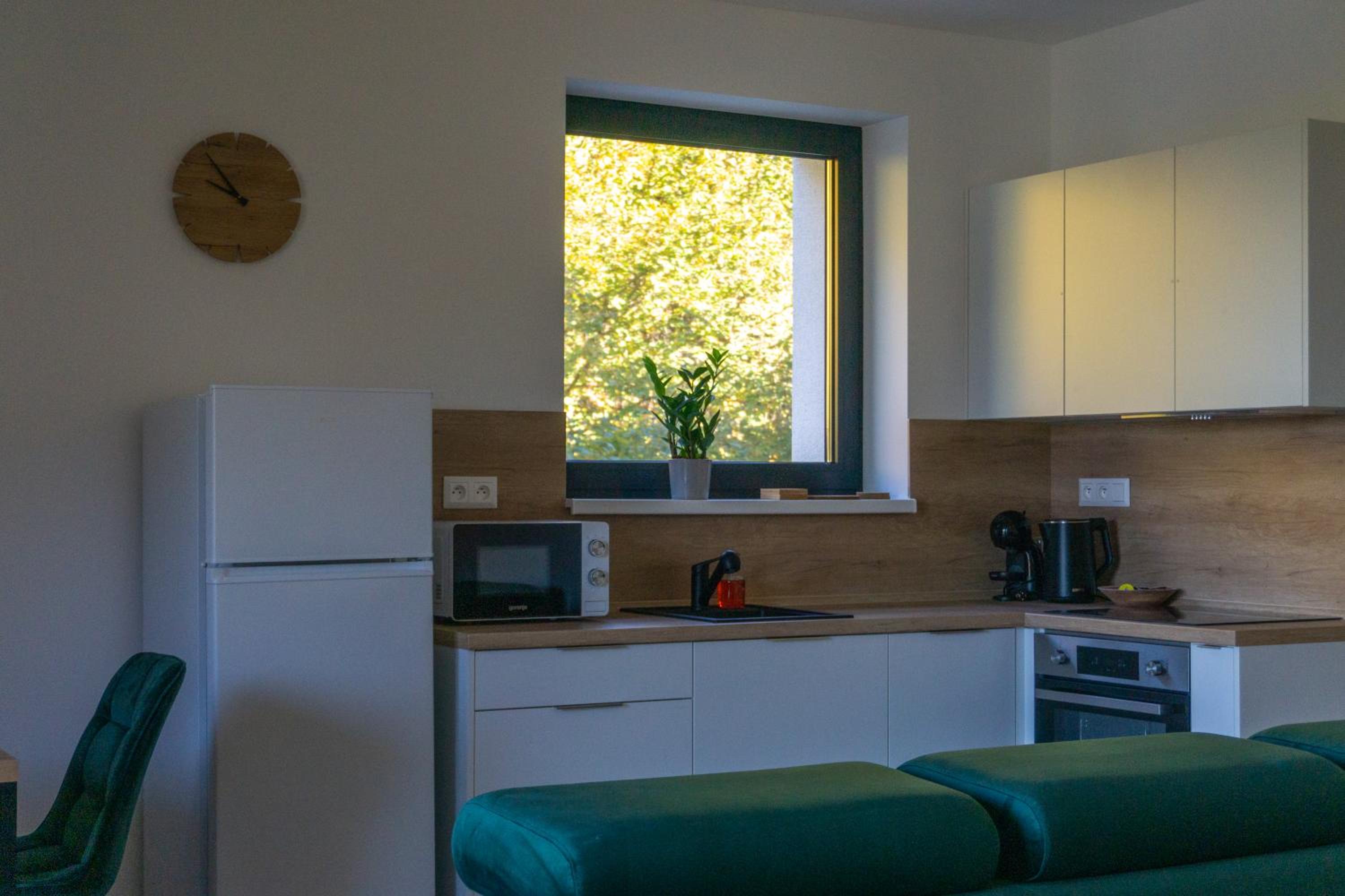 One-Bedroom Family Apartment photo 2
