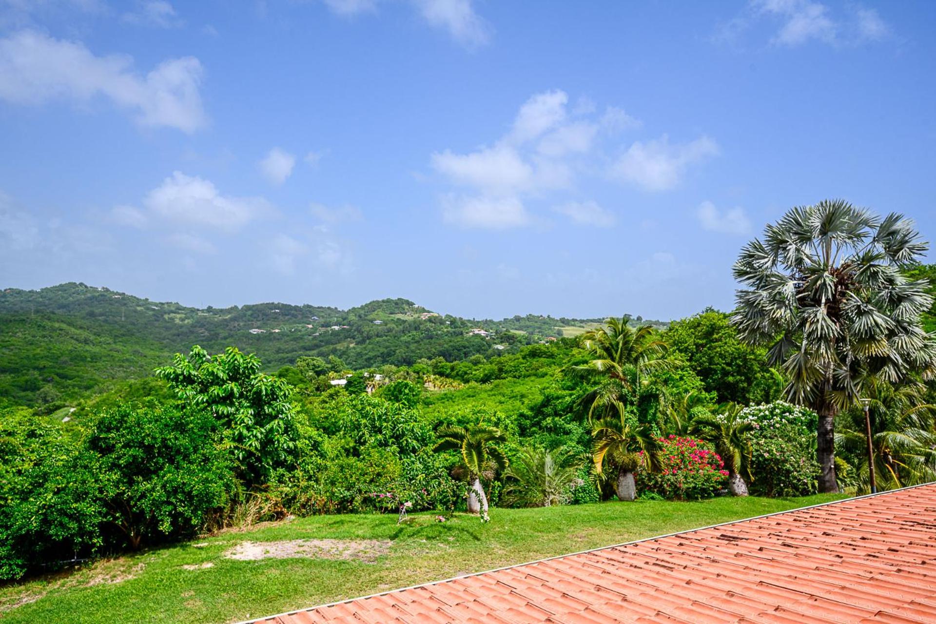 Double Room with Garden View - Photo 33
