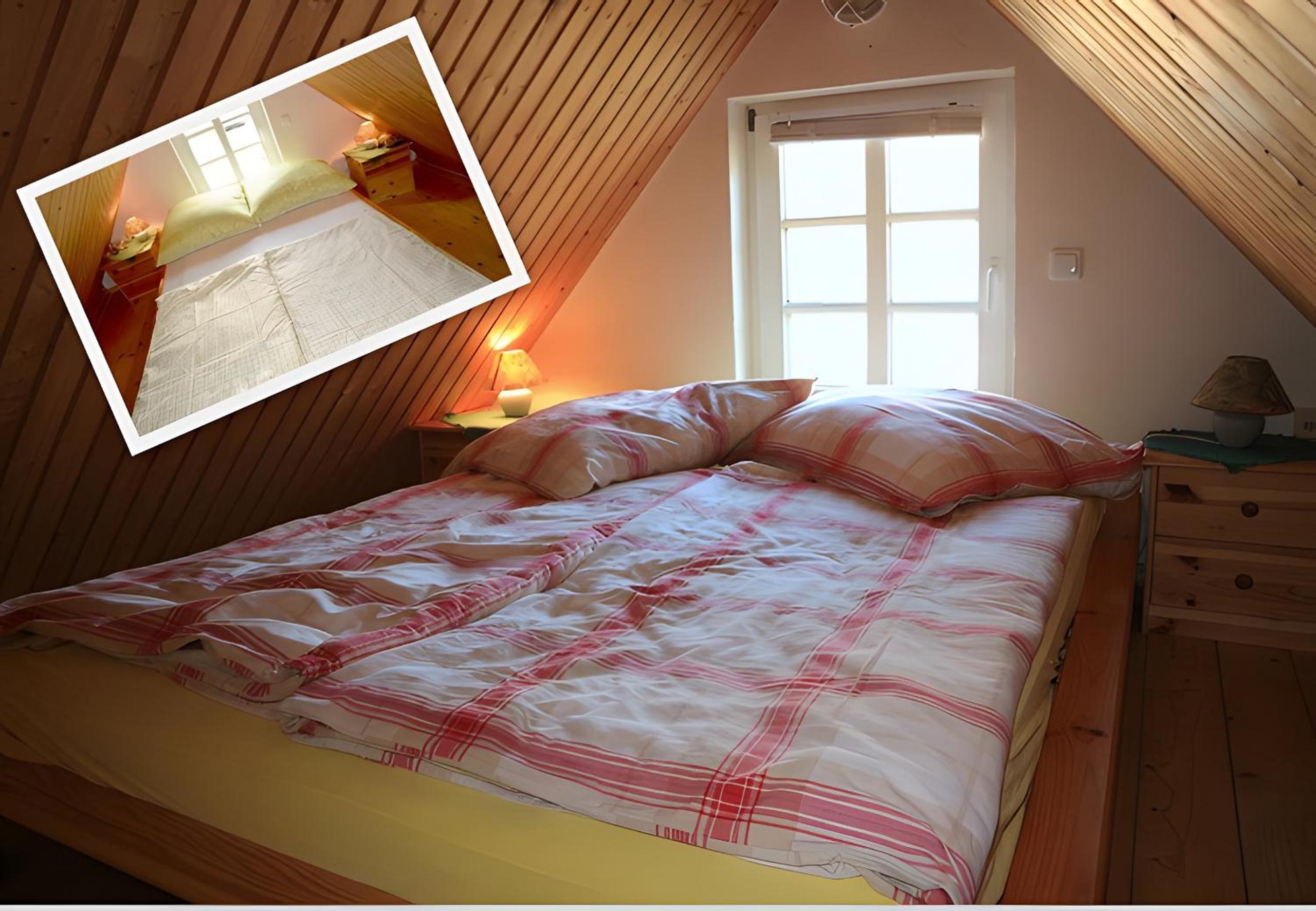 One-Bedroom House photo 3