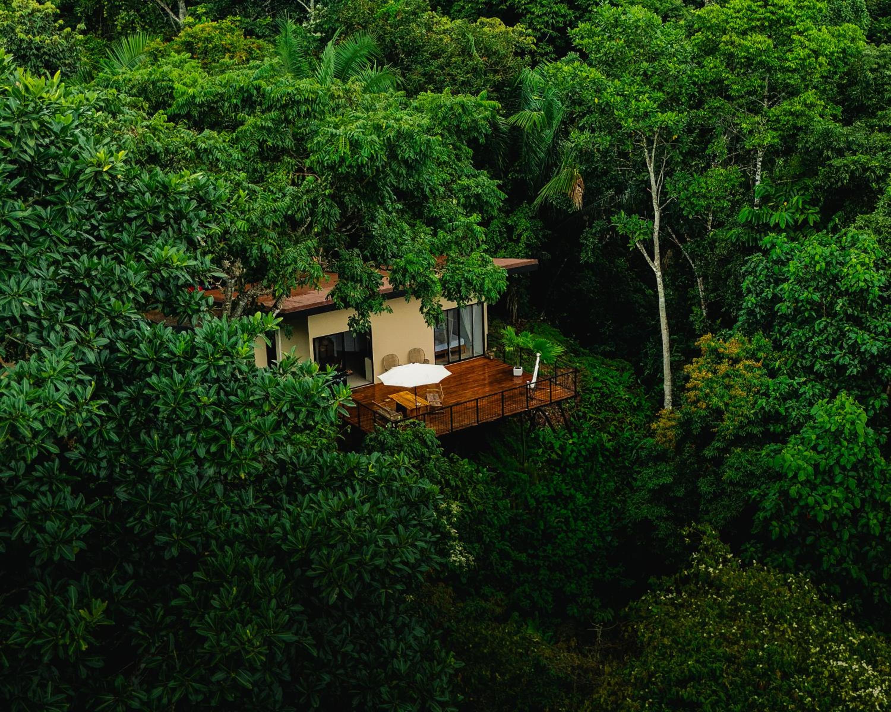 Deluxe Villa photo 1