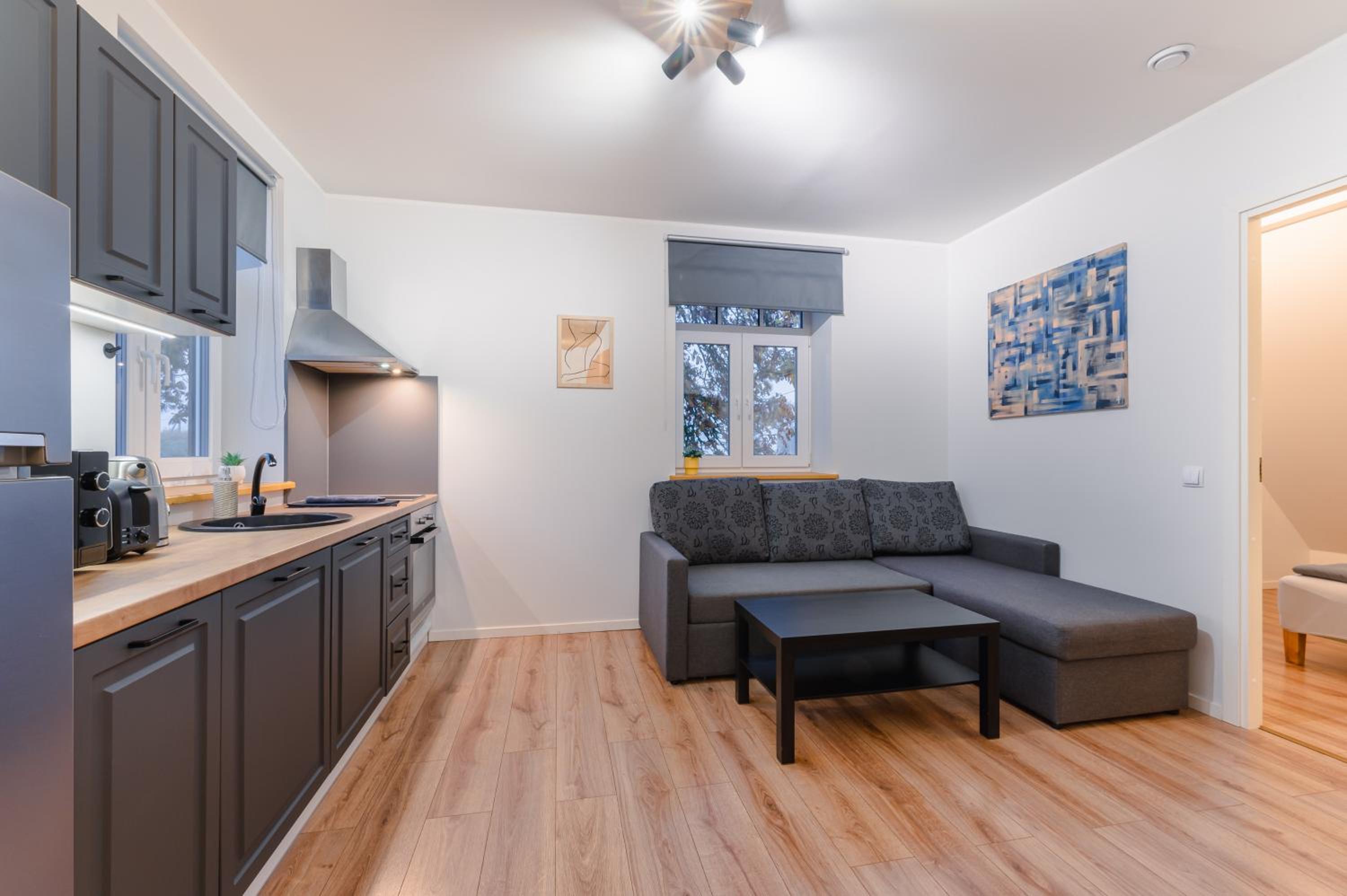 Deluxe Apartment photo 3