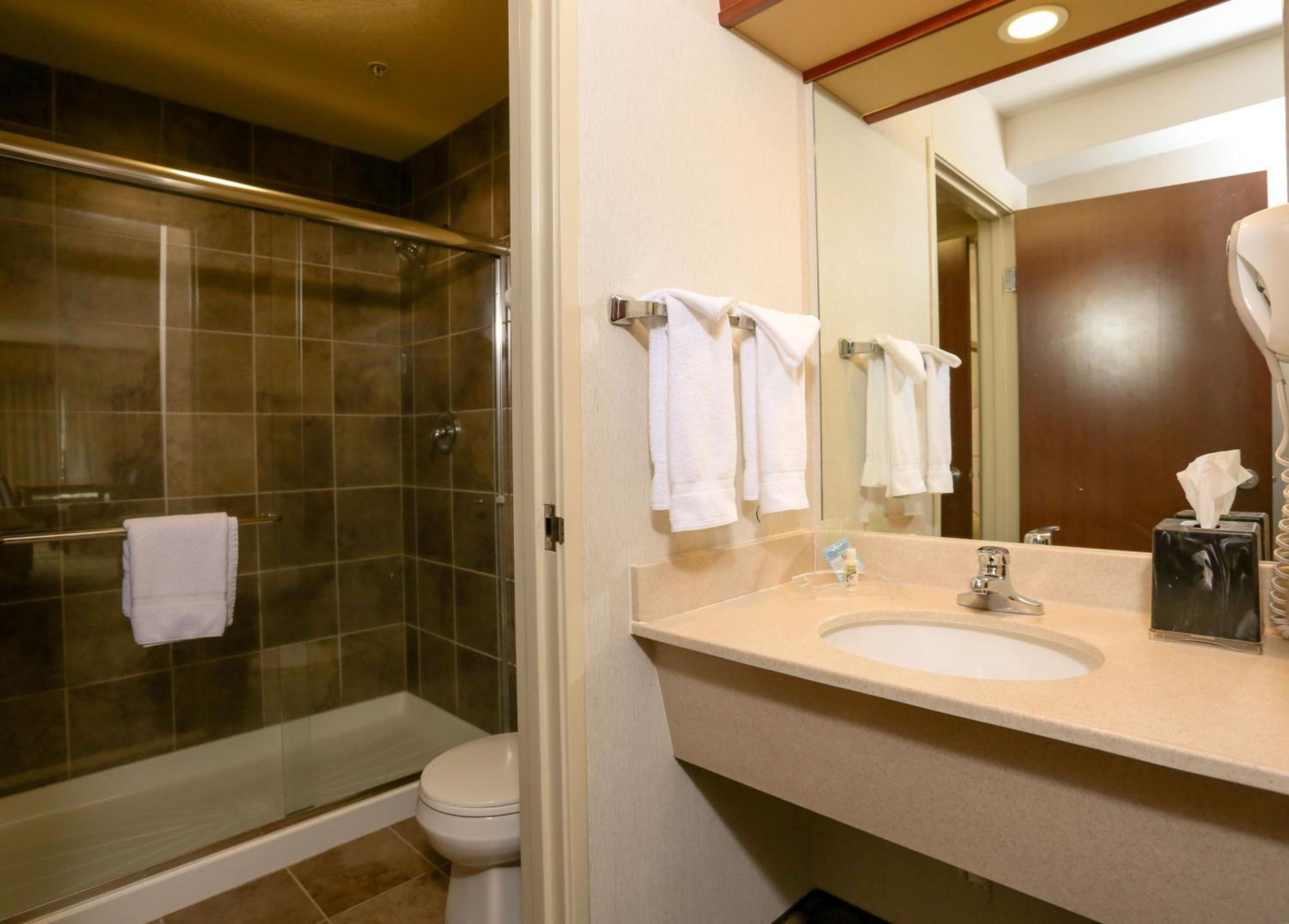 King Suite - Photo 6