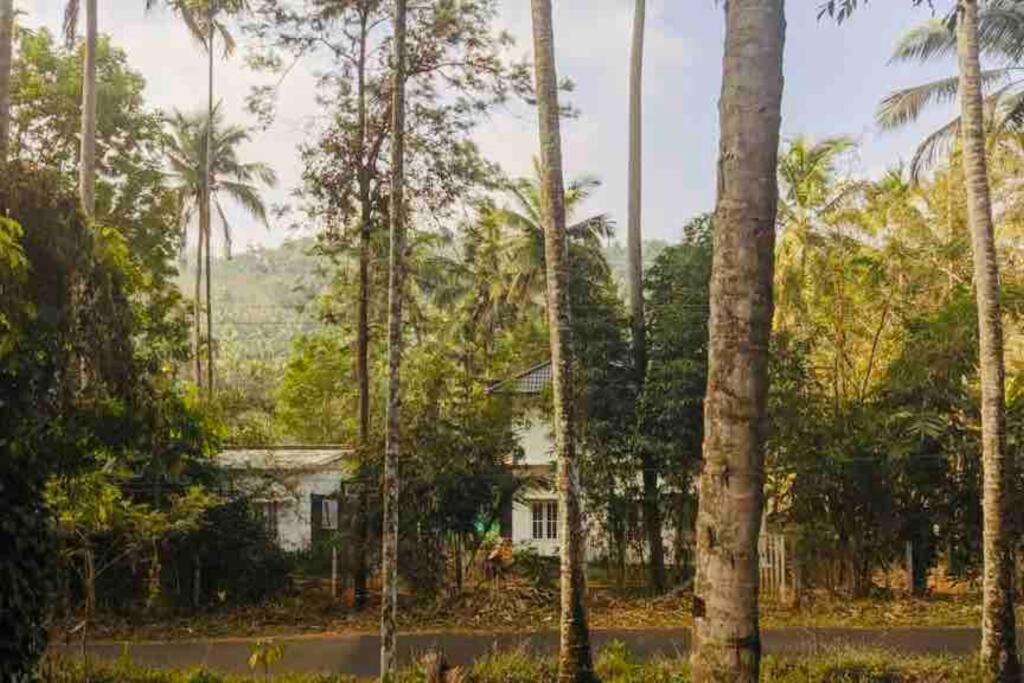 Three-Bedroom Villa photo 3