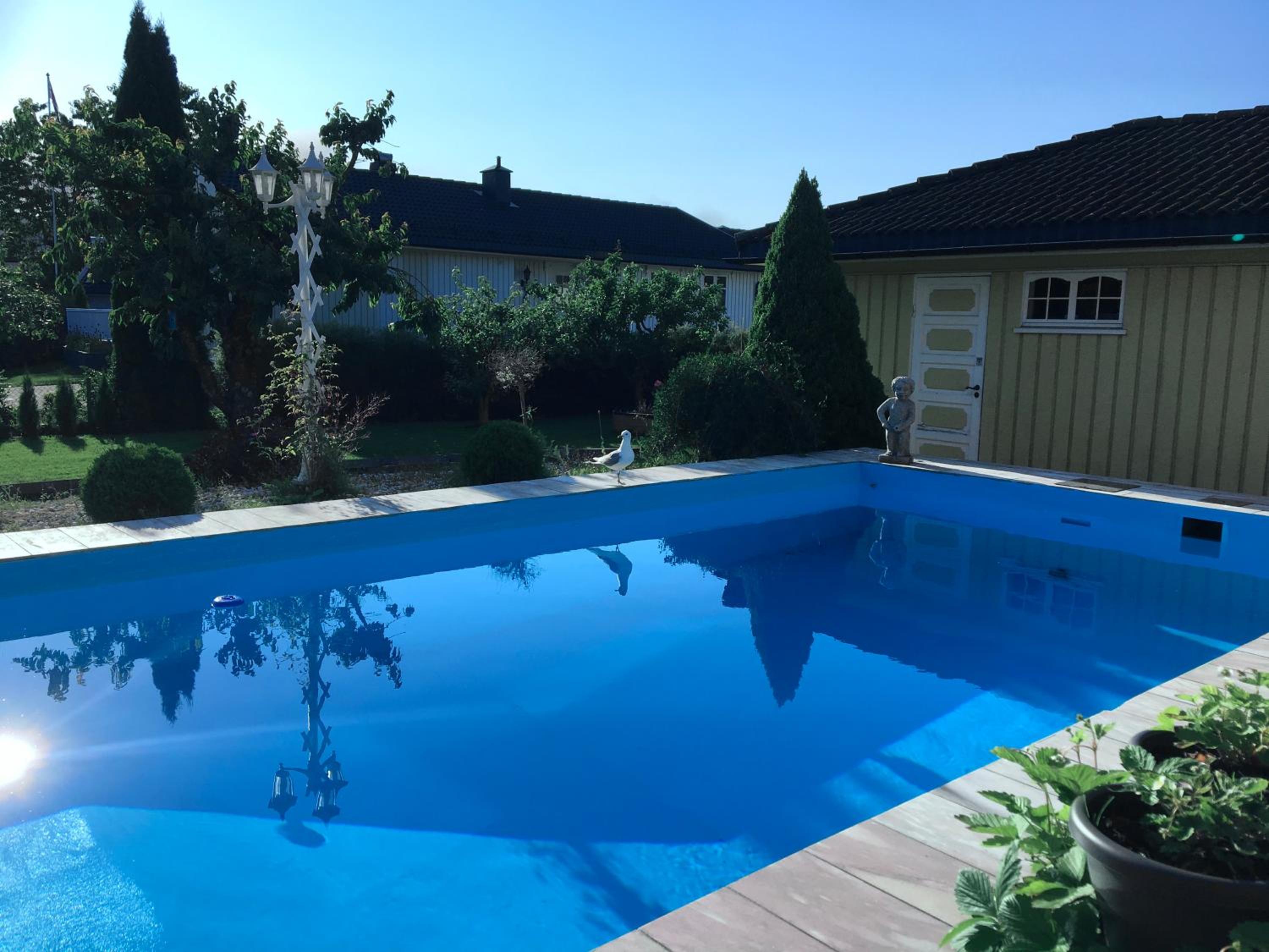 Double Room with Pool View photo 3