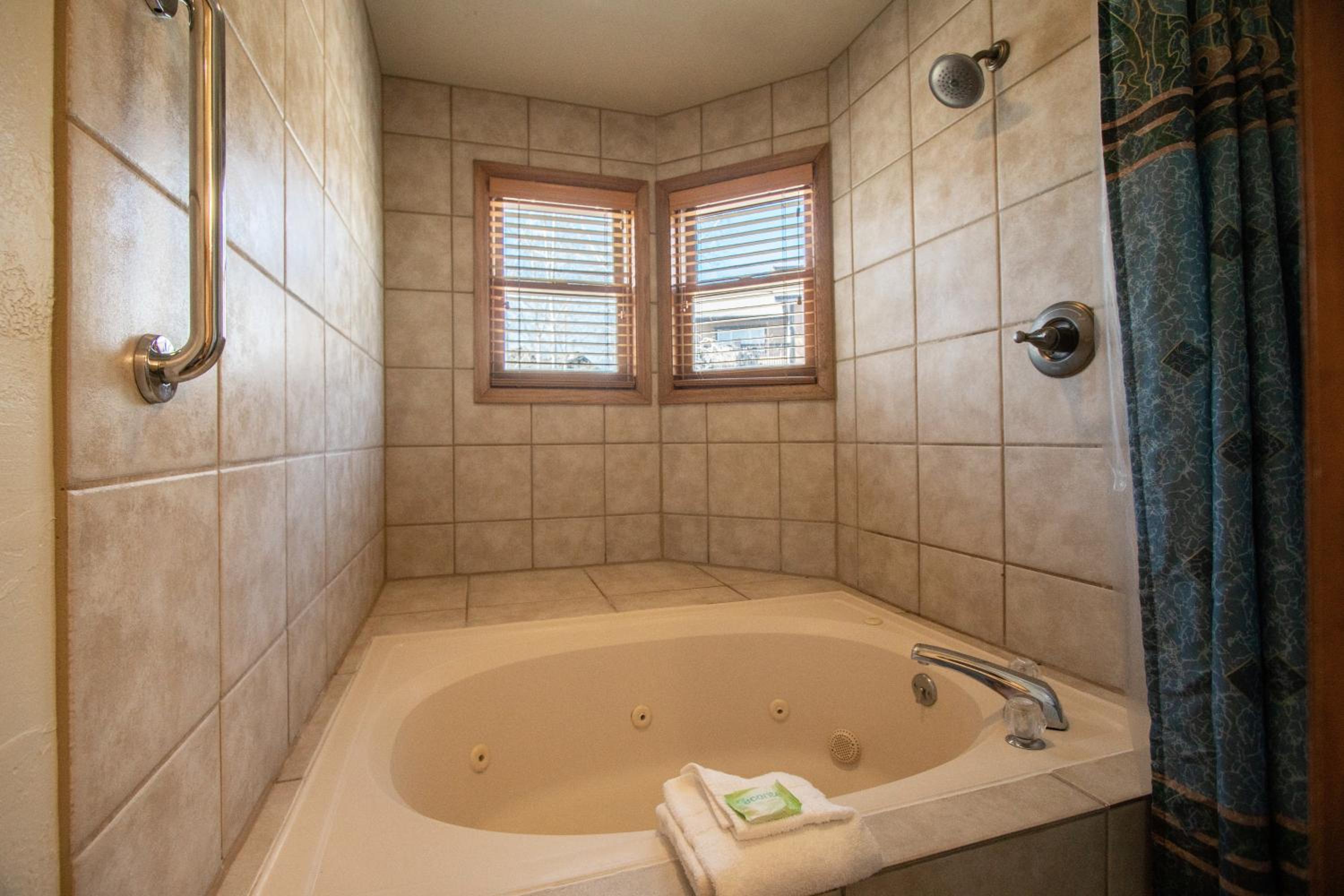 One-Bedroom Apartment (4 Adults) photo 2