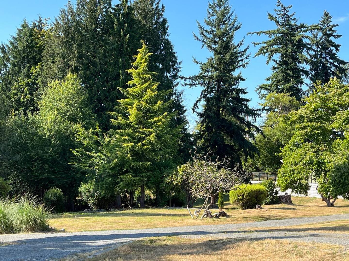Mobile Home photo 3