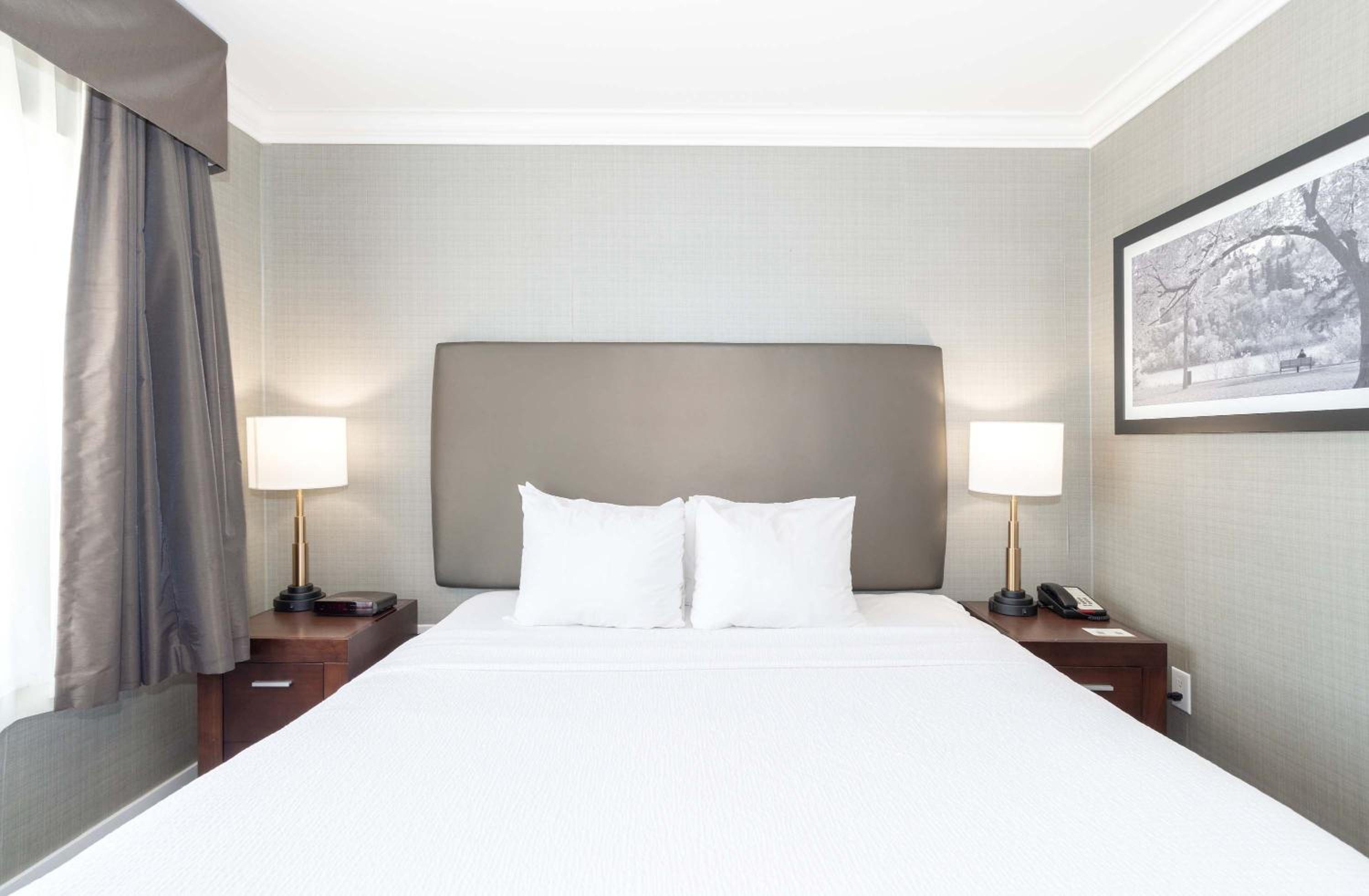 Standard Suite, 1 King Bed, Sofa Bed, Kitchenette - Photo 4