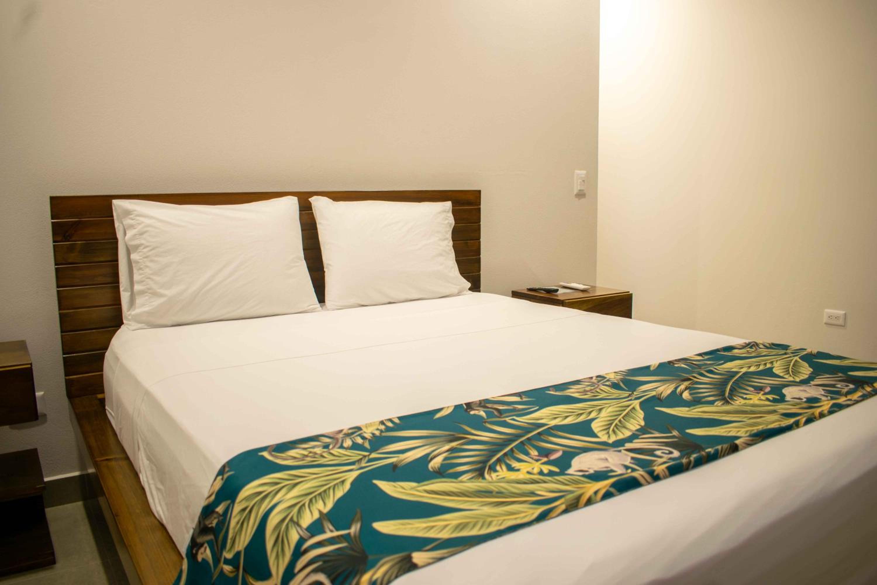 Standard Queen Room photo 1