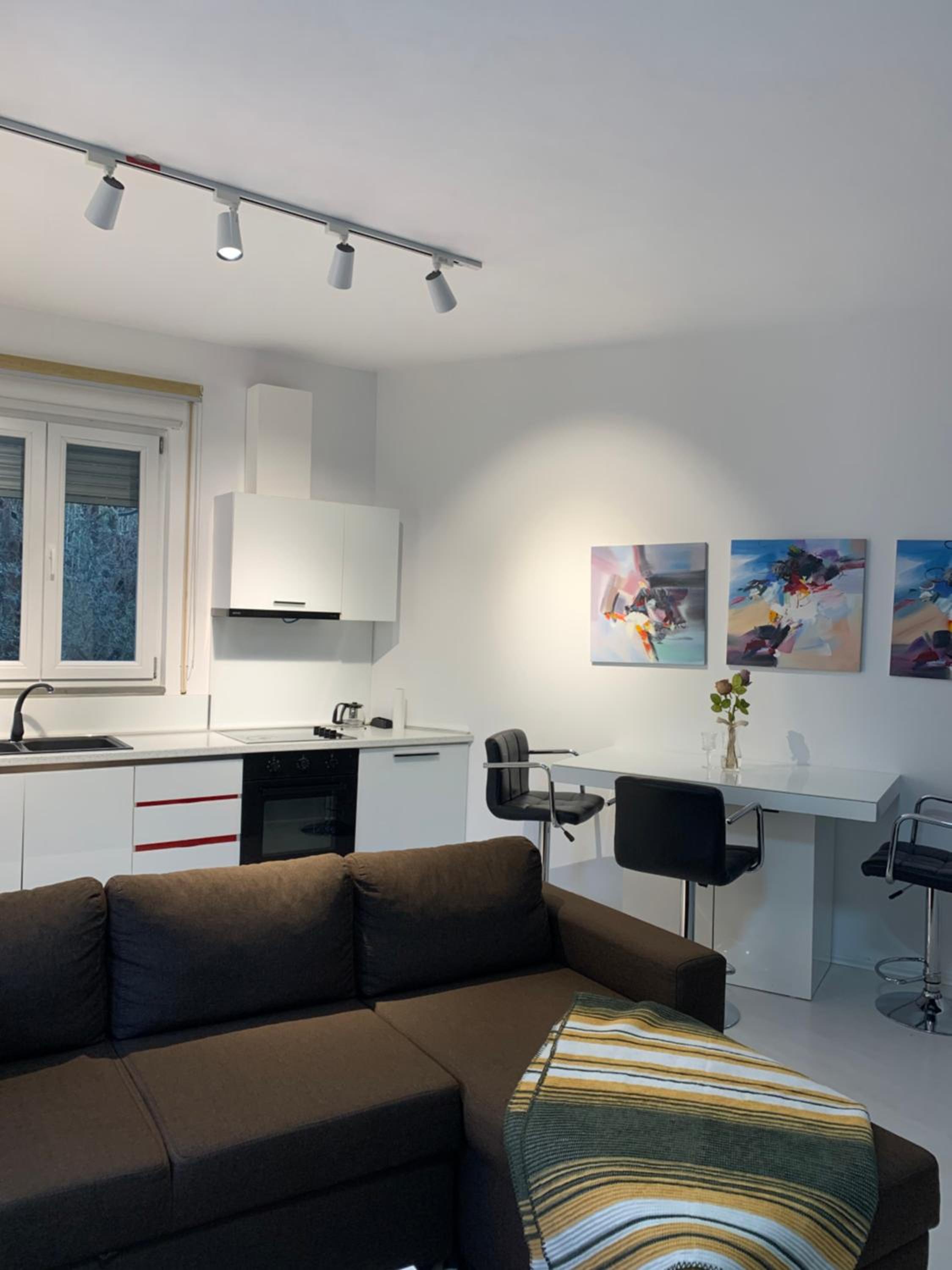One-Bedroom Apartment photo 2