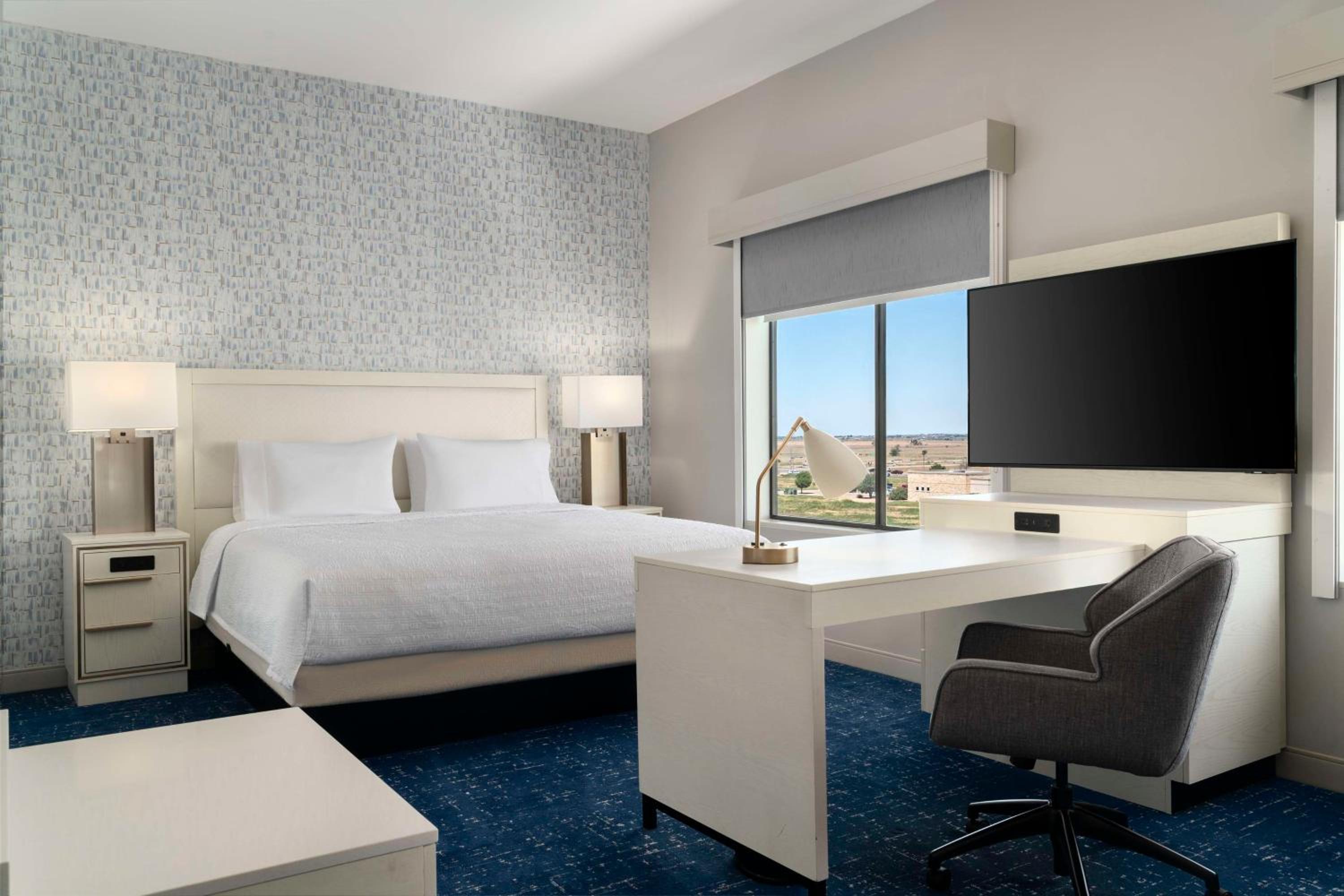 King Studio Suite - Photo 4