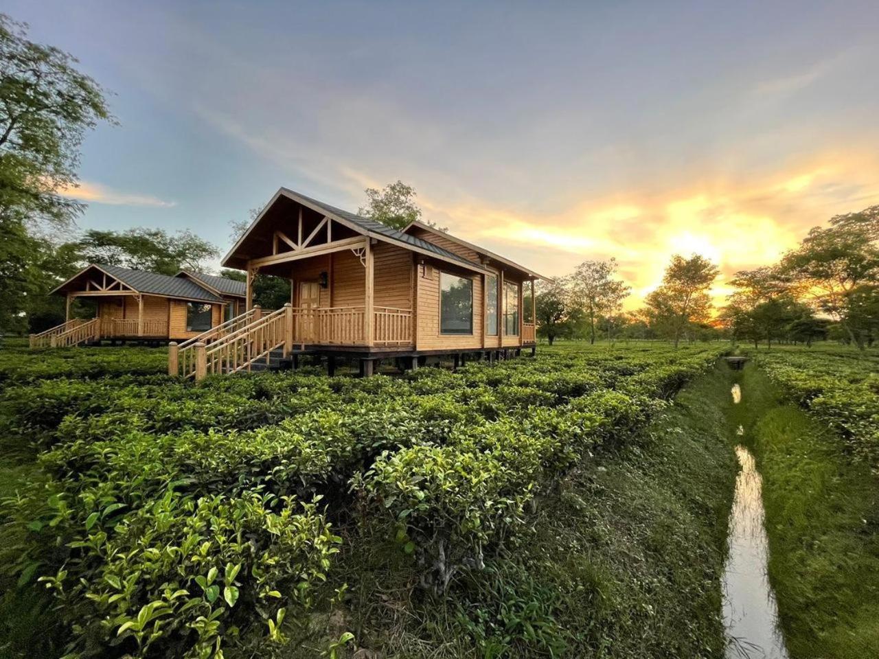 Luxury Chalet with Private Sitout Area photo 2
