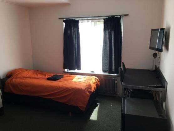 Twin Room photo 1