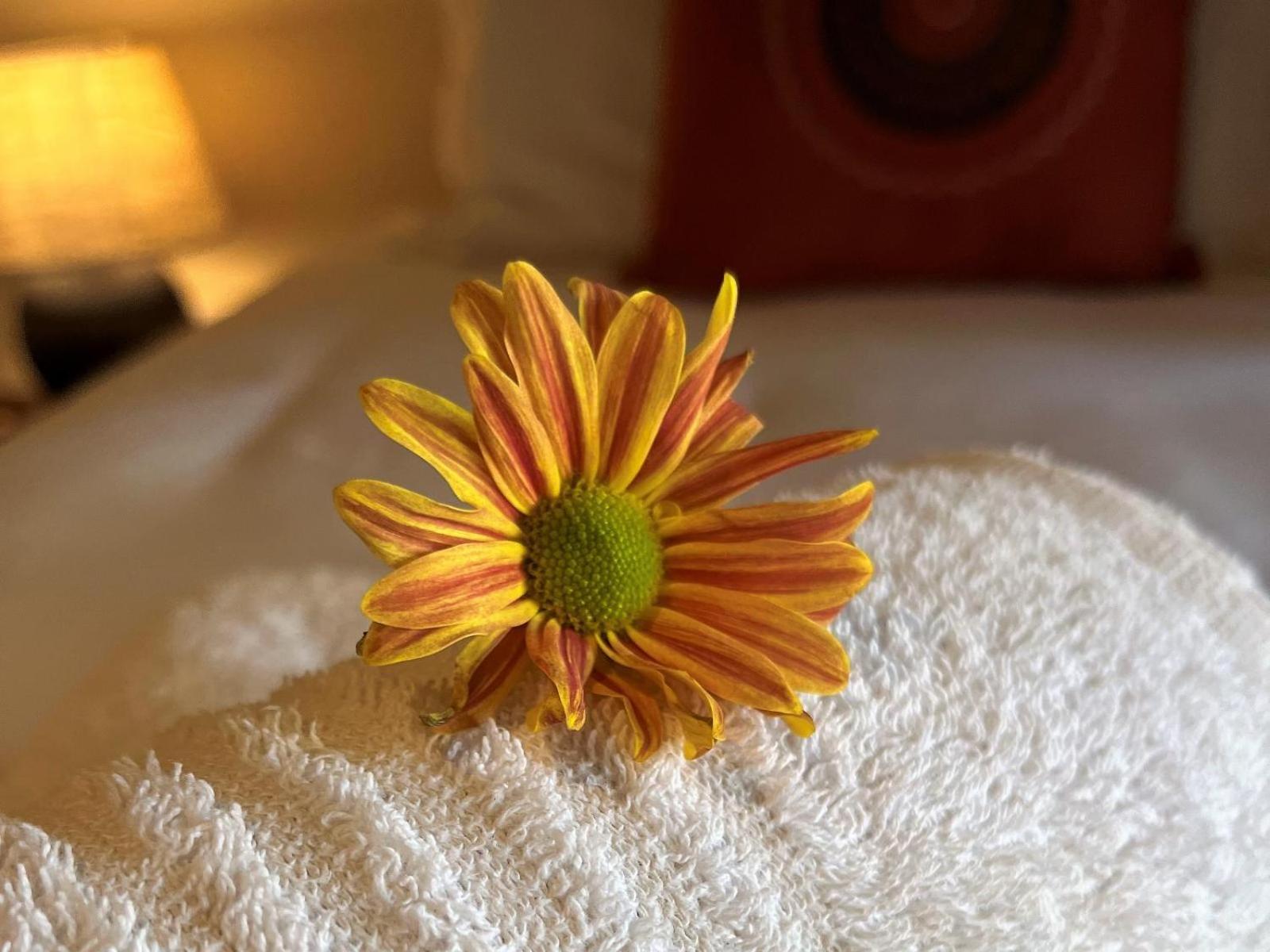 Deluxe Double or Twin Room with Pool Access - Photo 9