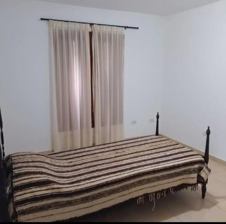 Four-Bedroom House photo 3