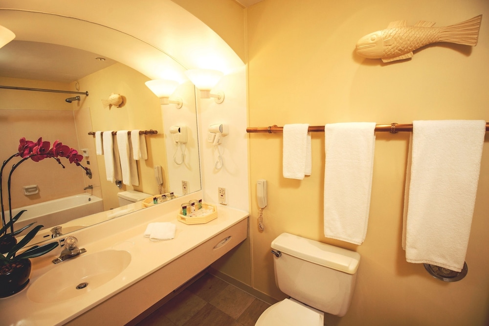 Deluxe Suite (With Breakfast) photo 3