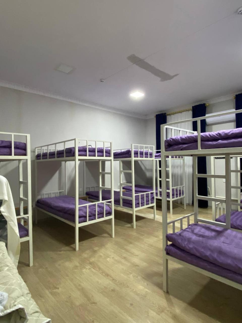 Bunk Bed in Mixed Dormitory Room photo 1