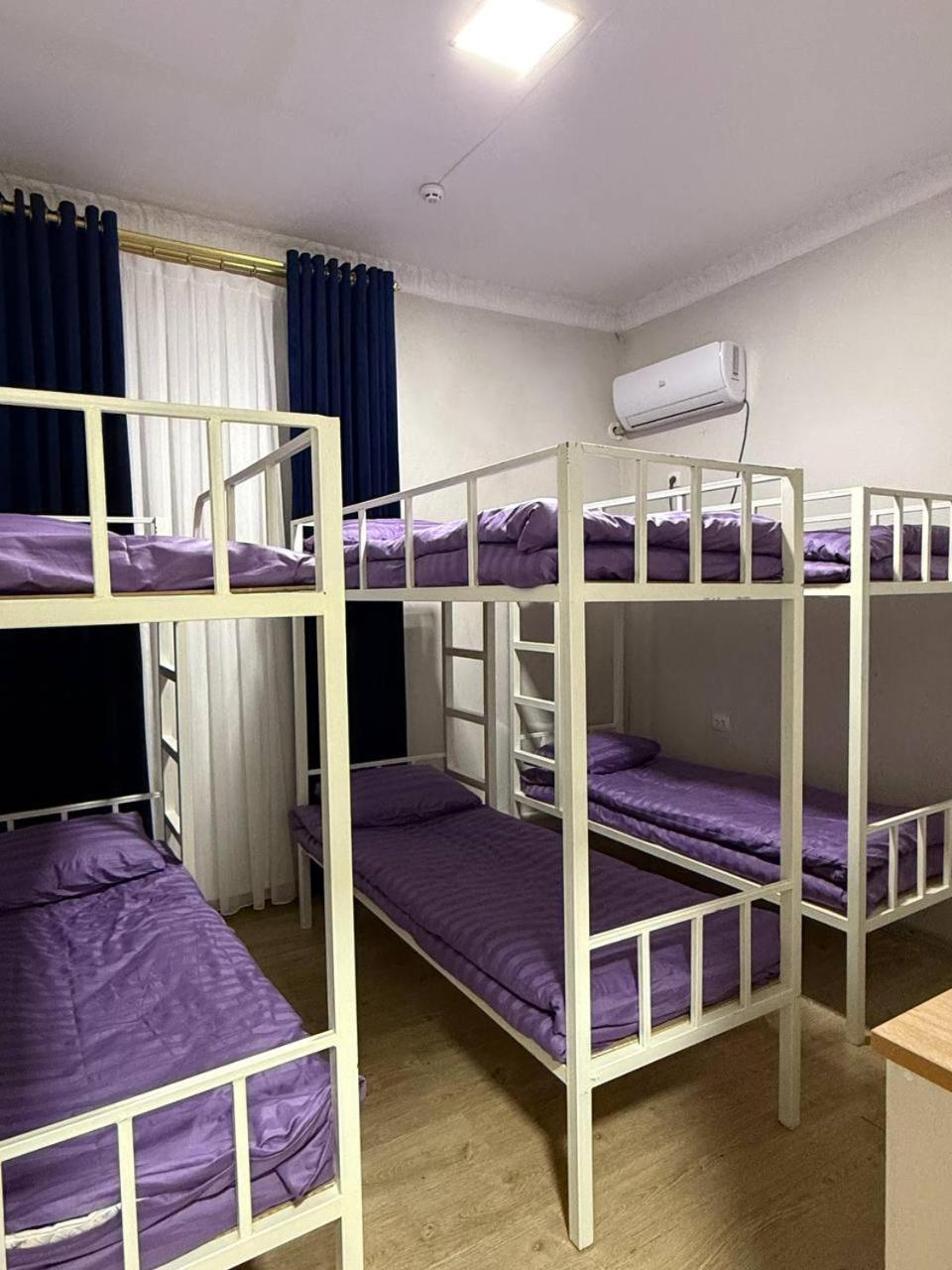 Bunk Bed in Mixed Dormitory Room photo 1
