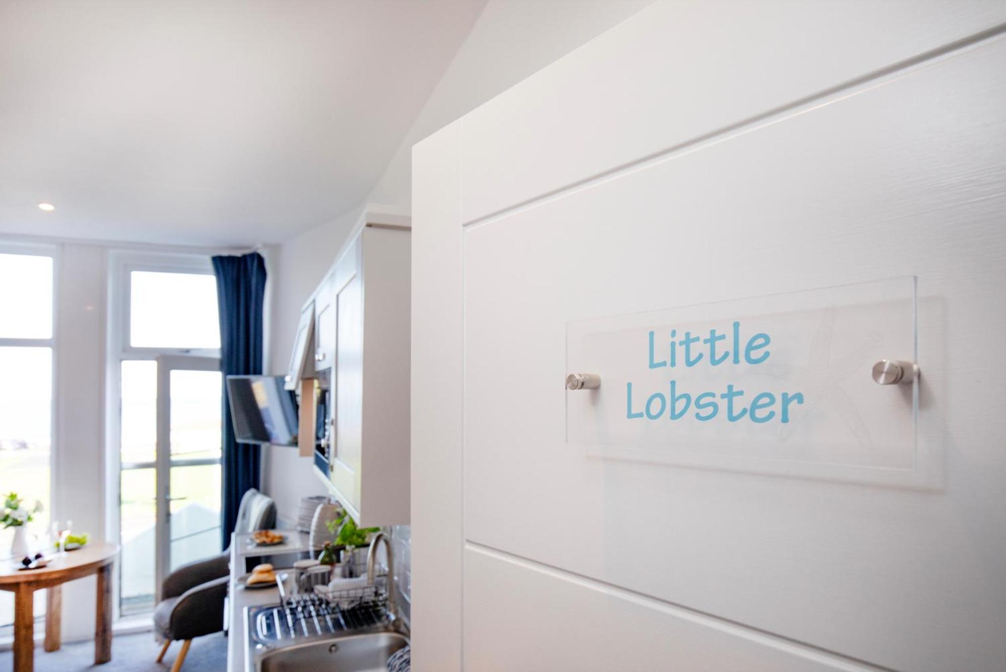 Little Lobster Studio - Photo 18