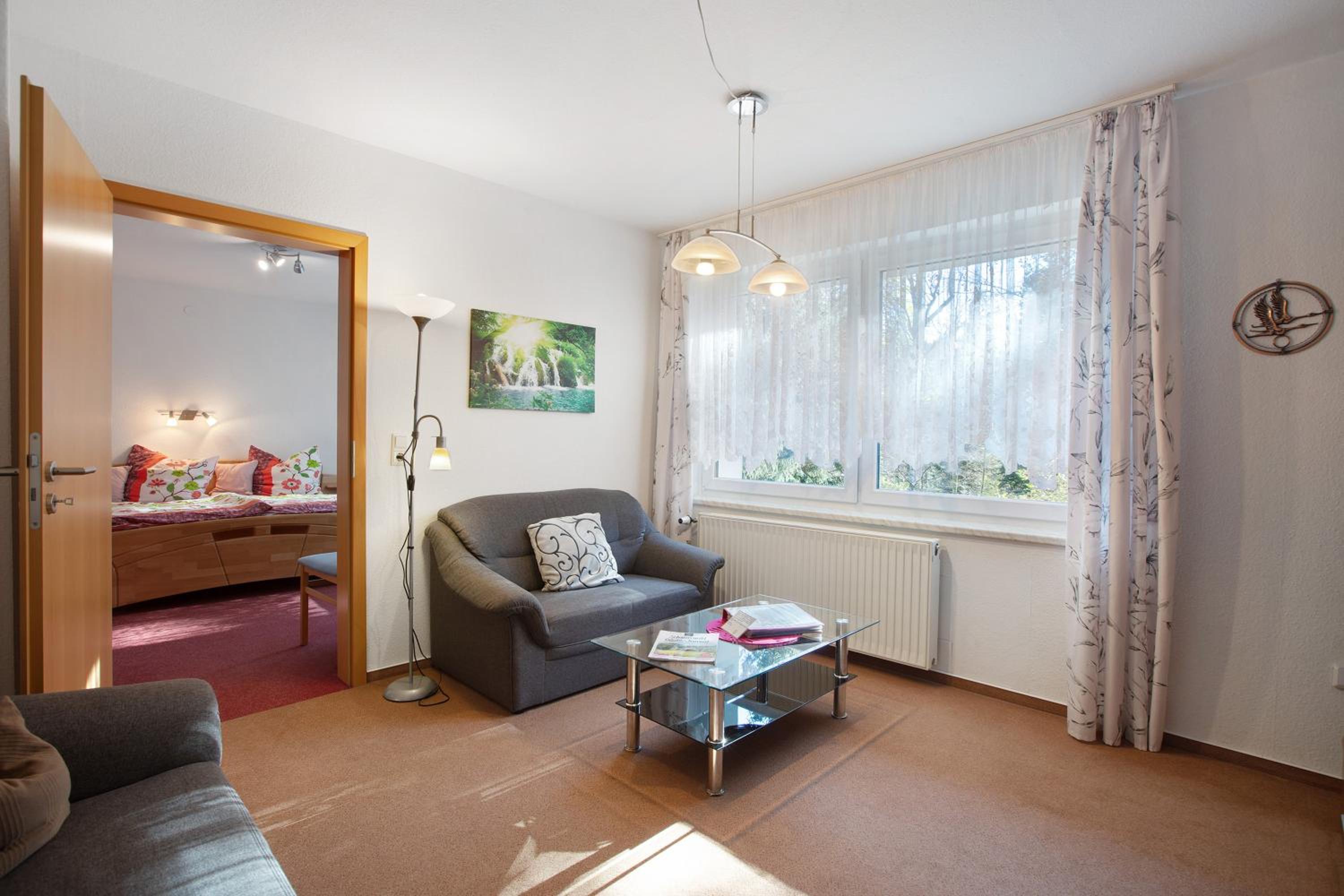 Superior One-Bedroom Apartment with Balcony photo 2