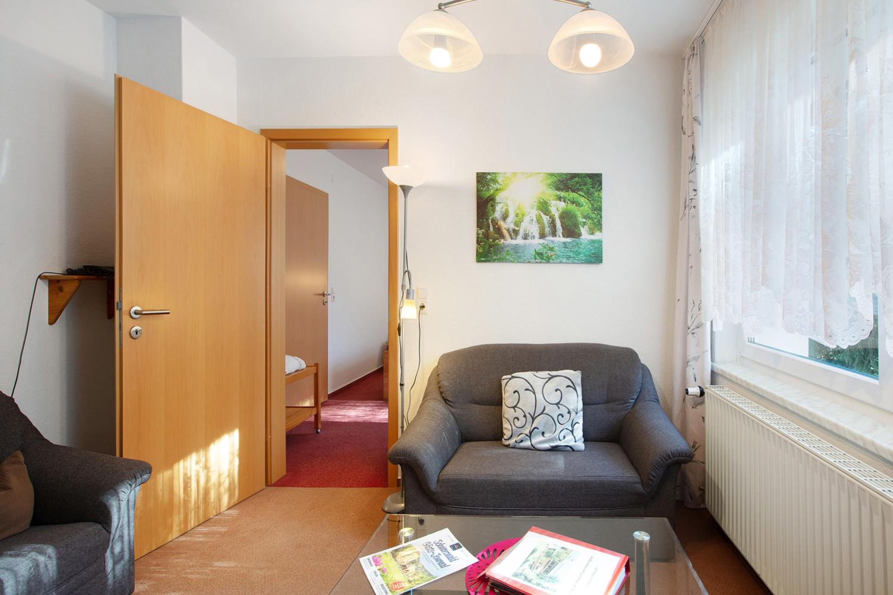 Superior One-Bedroom Apartment with Balcony photo 3