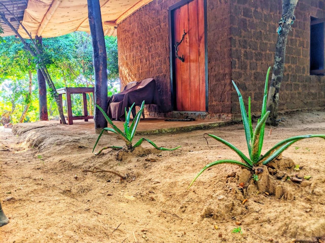 Triple Room with View