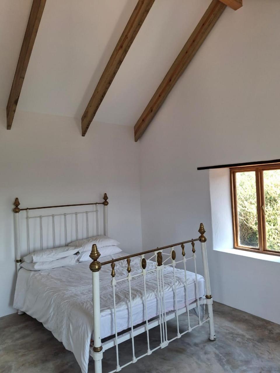 One-Bedroom House photo 3