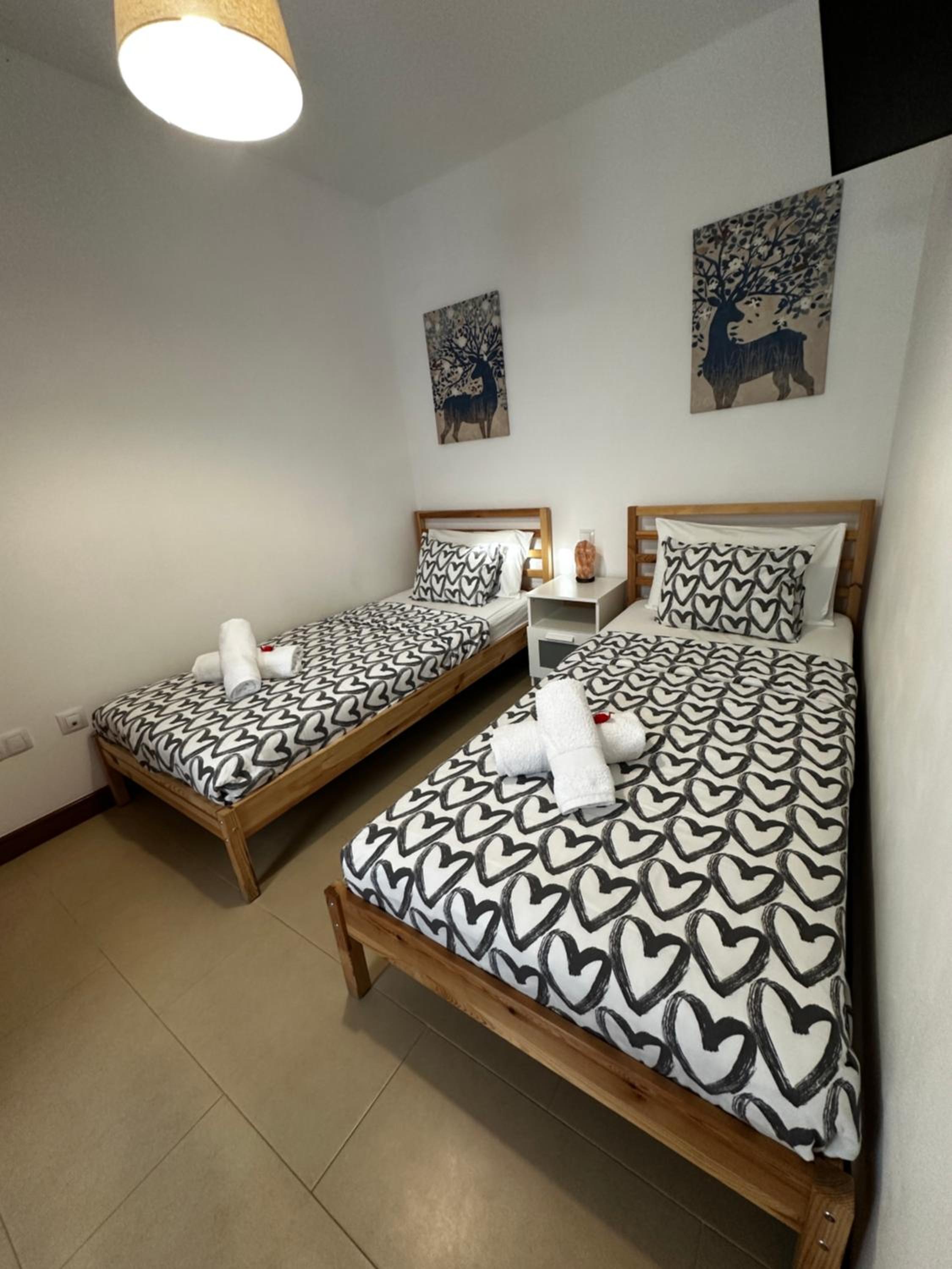Duplex Apartment photo 2