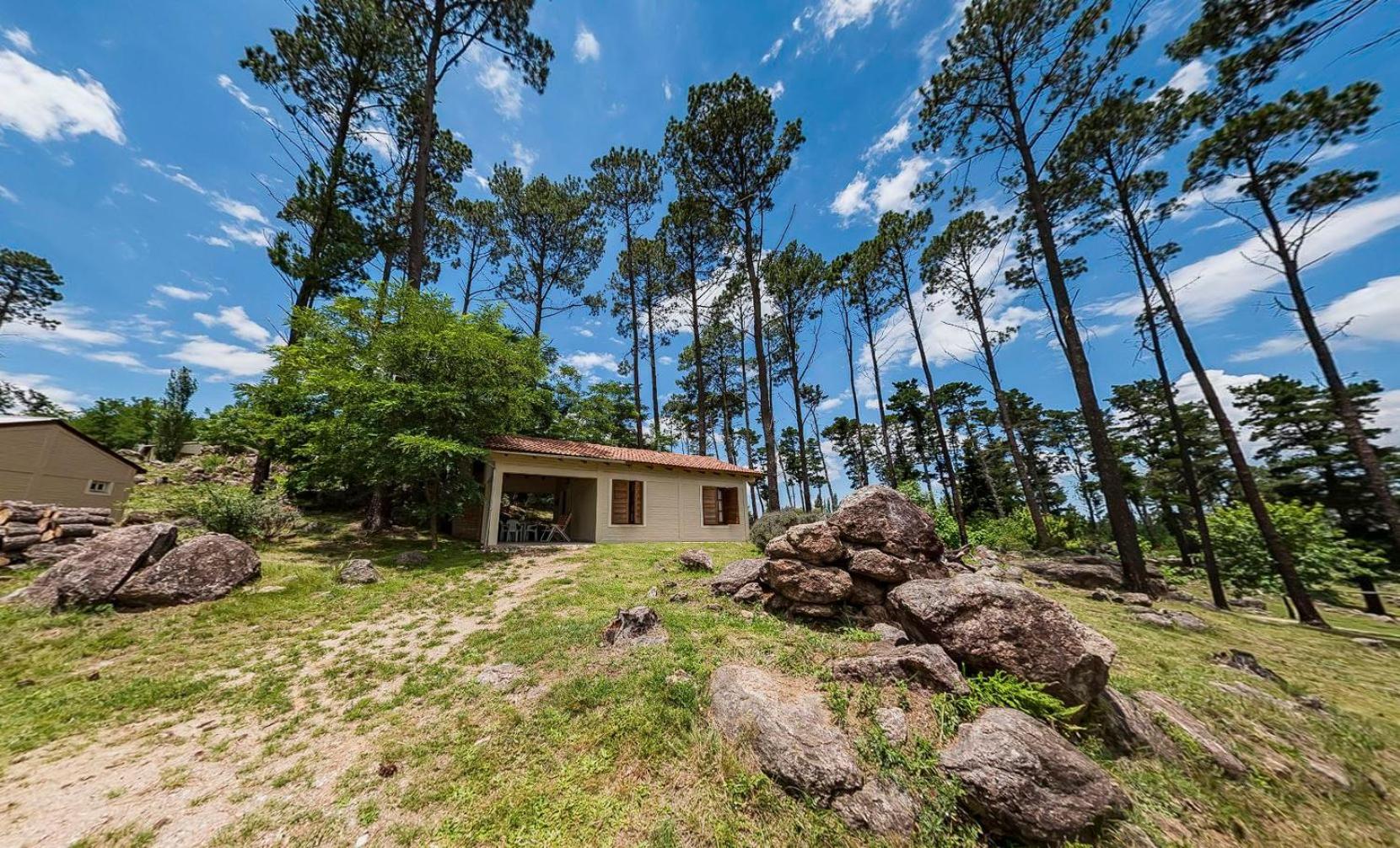 Bungalow with Patio photo 2