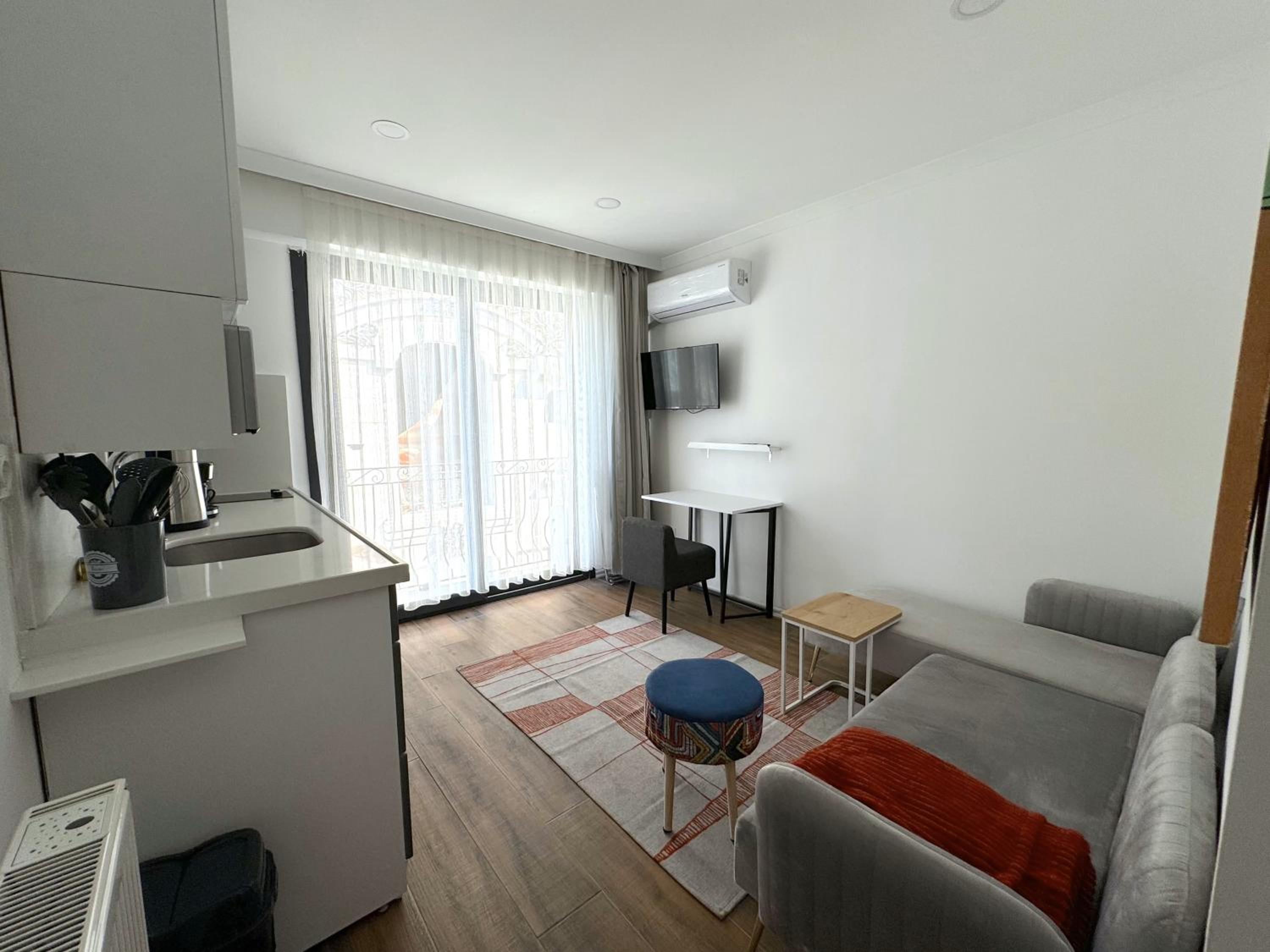 One-Bedroom Apartment photo 3