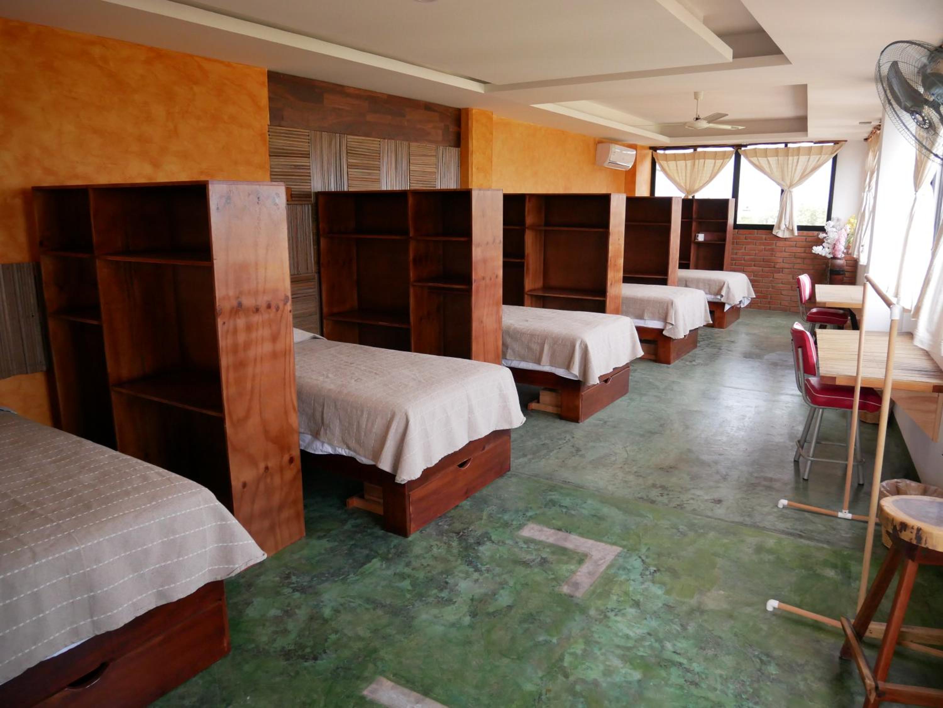 Single Bed in Mixed Dormitory Room photo 1
