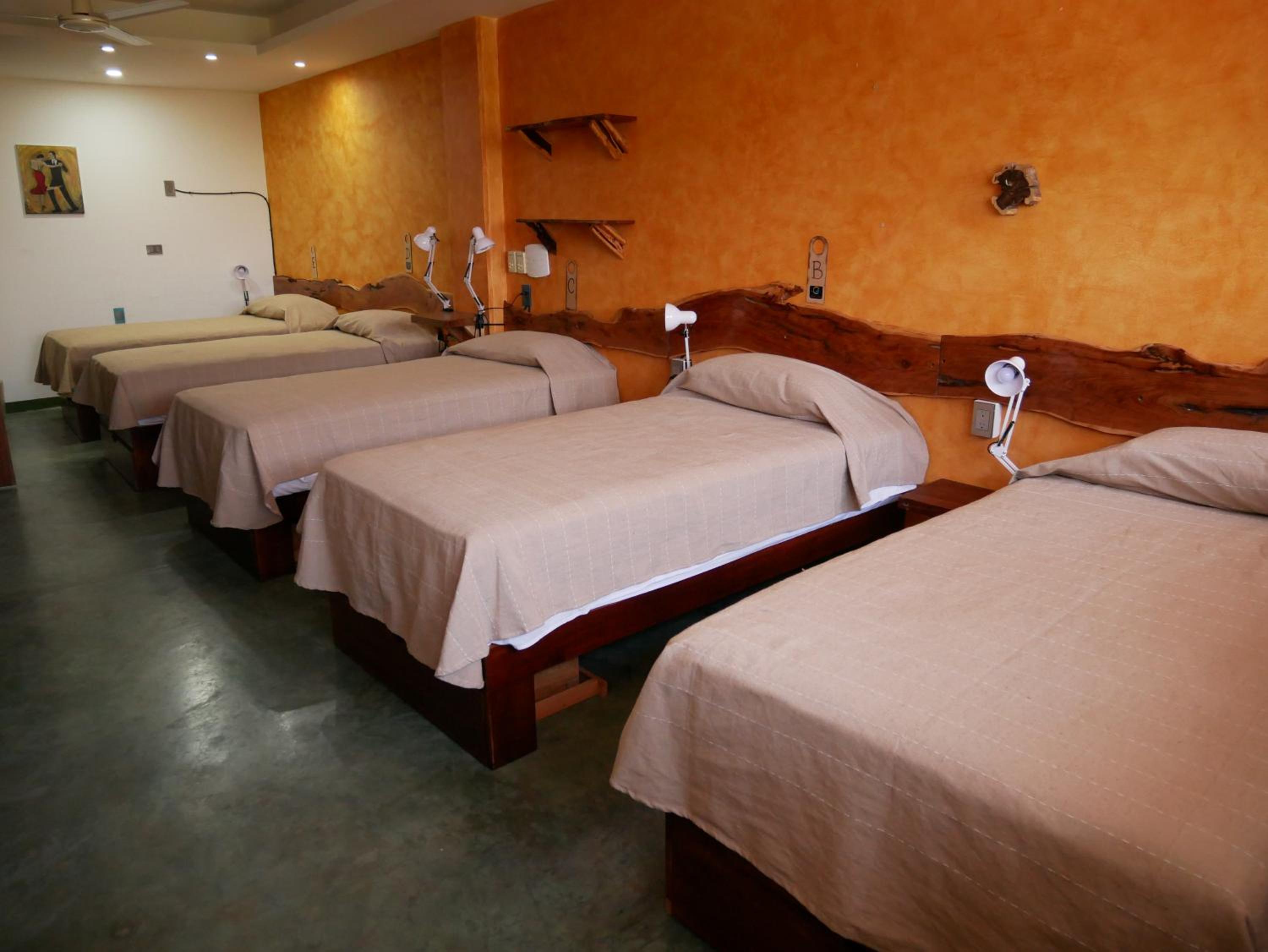 Single Bed in Female Dormitory Room photo 3