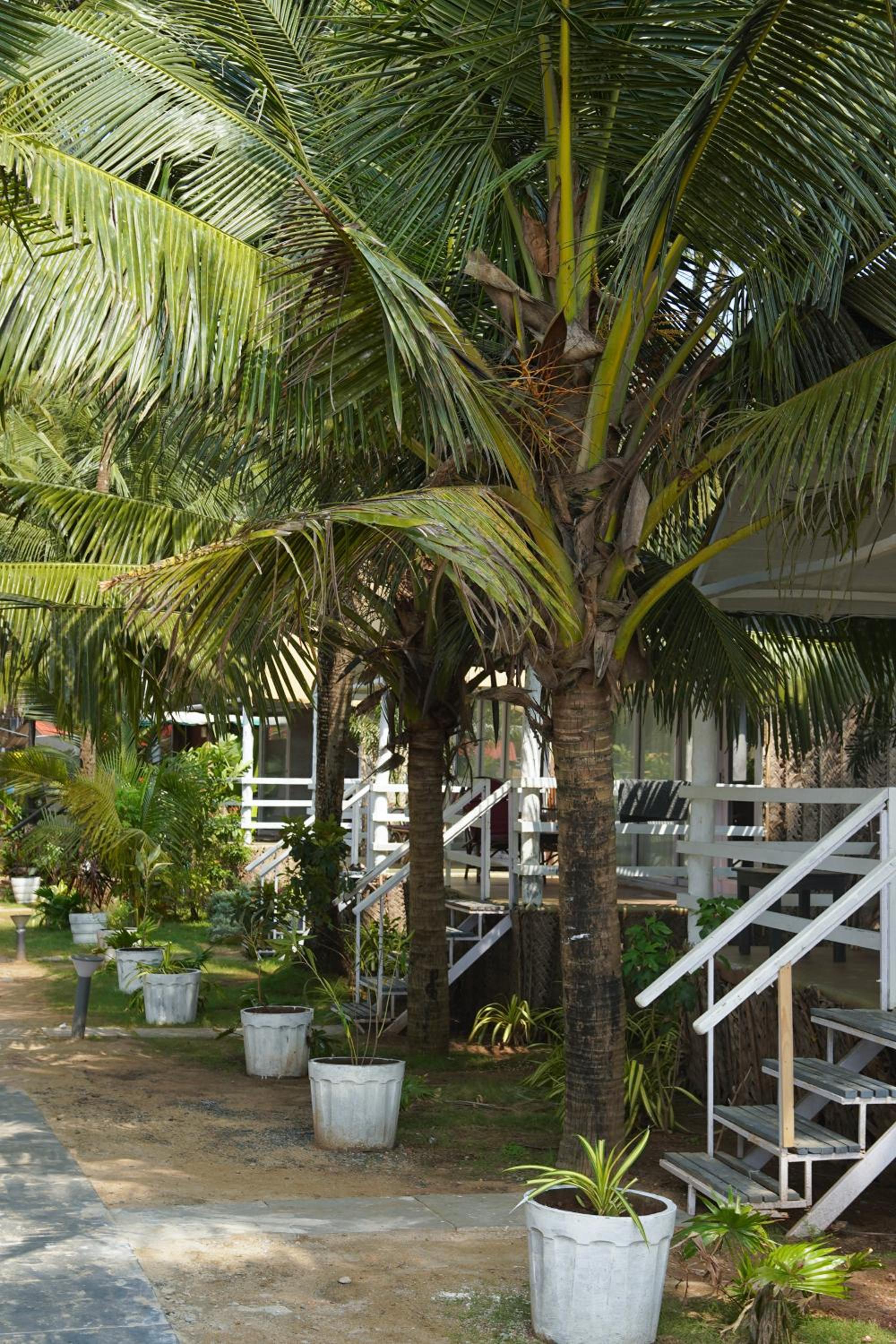 Double Room with Balcony photo 1
