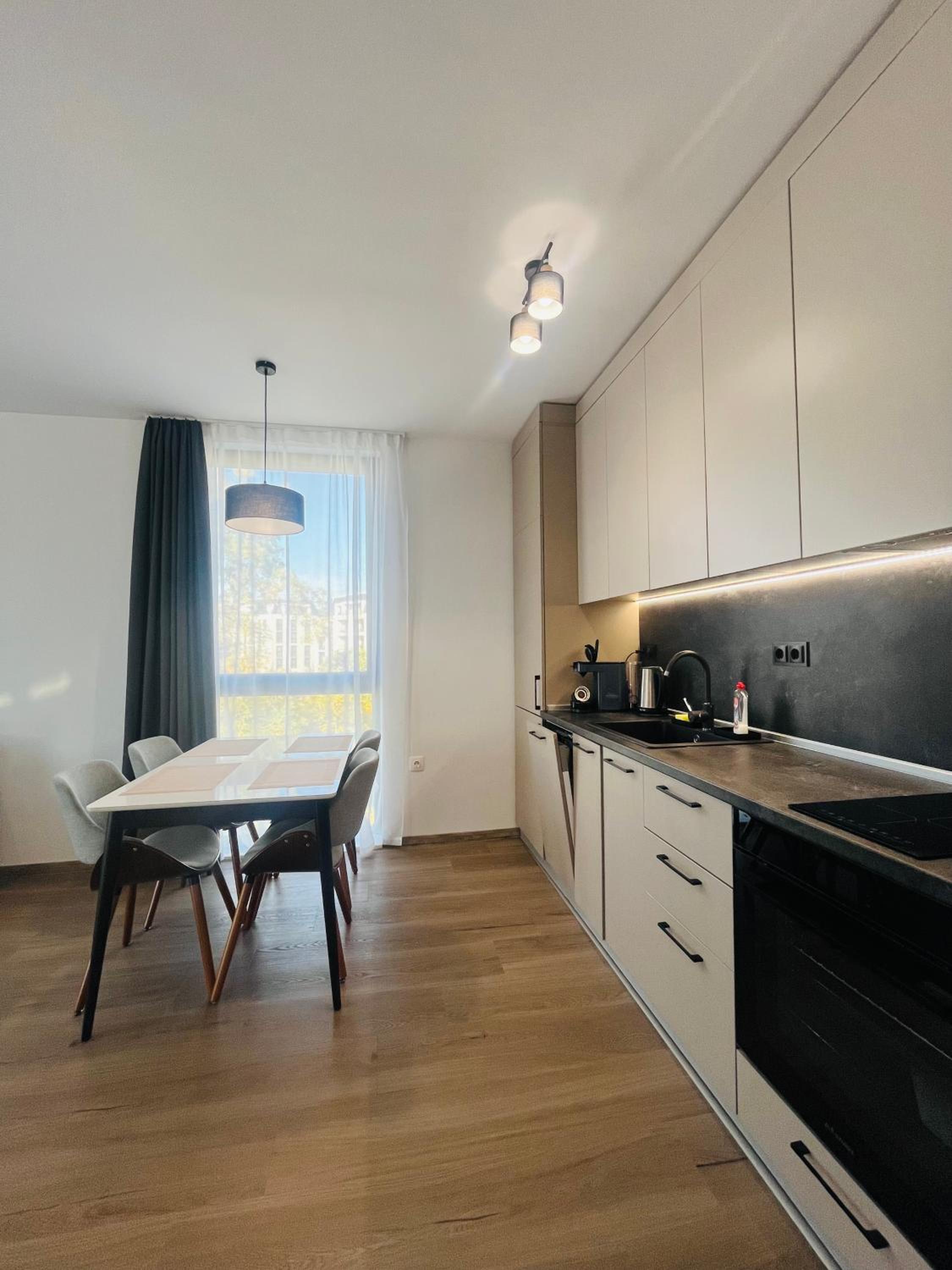 One-Bedroom Premium Apartment photo 2