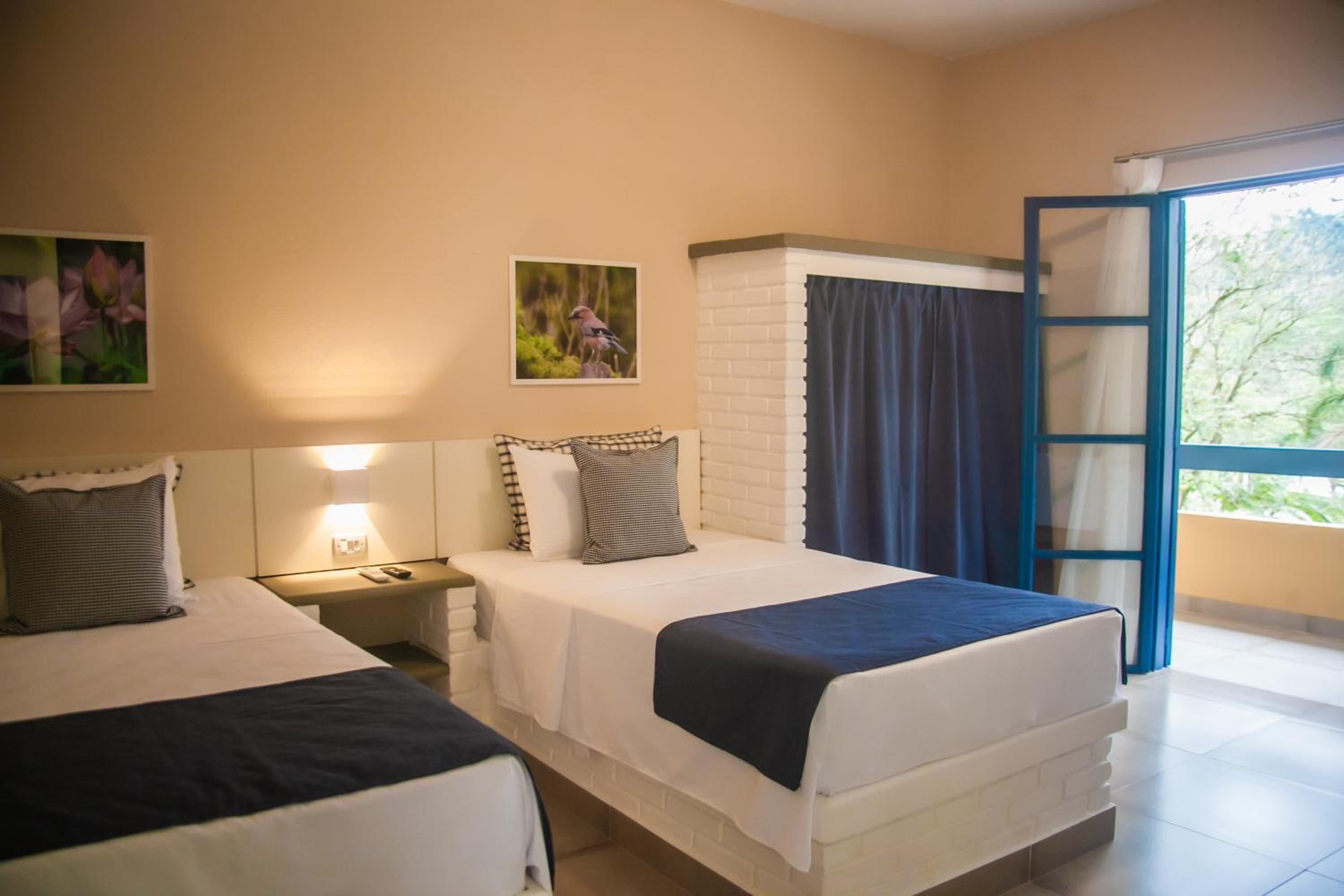 Standard Twin Room photo 2