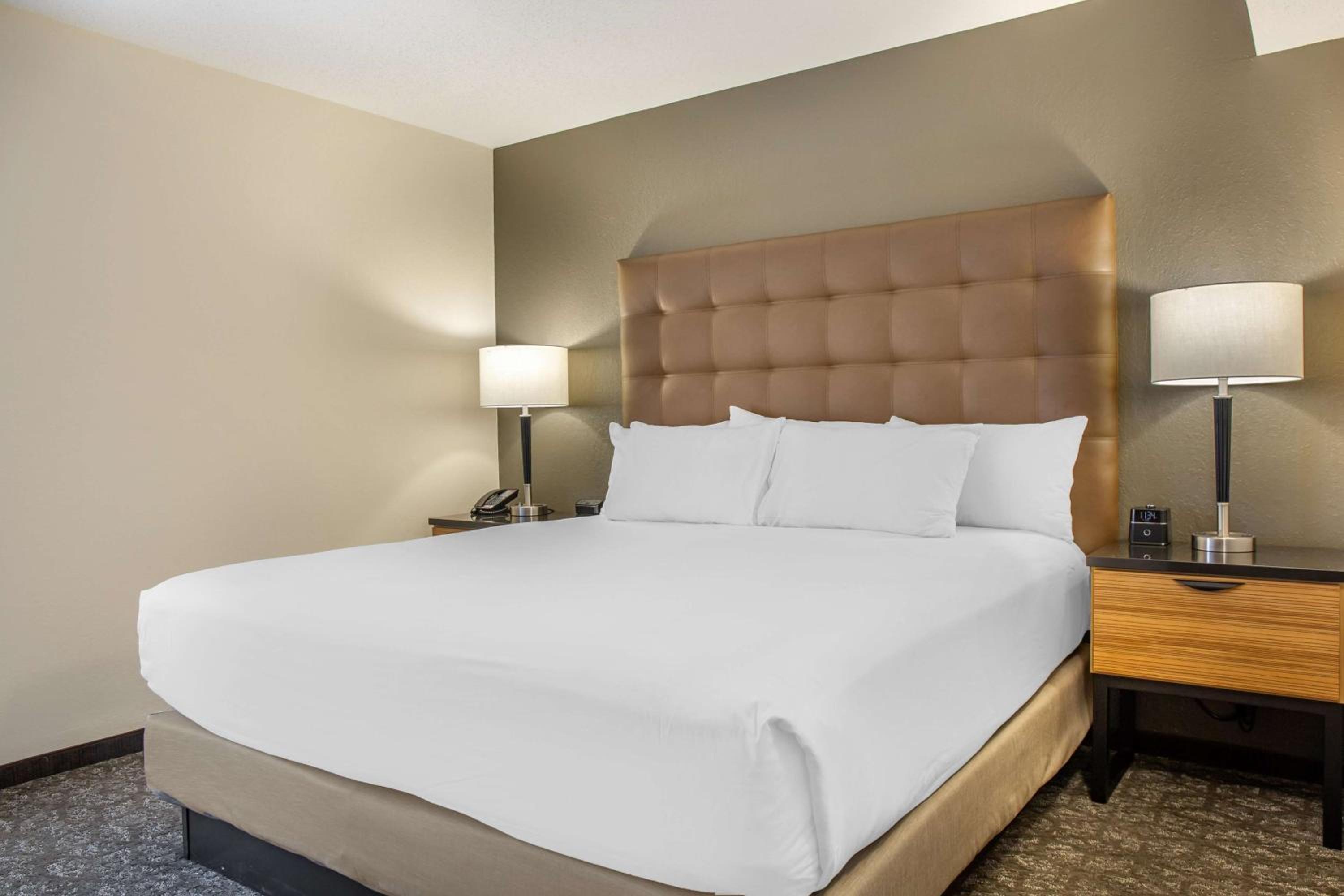 King Suite with Sofa Bed - Photo 4