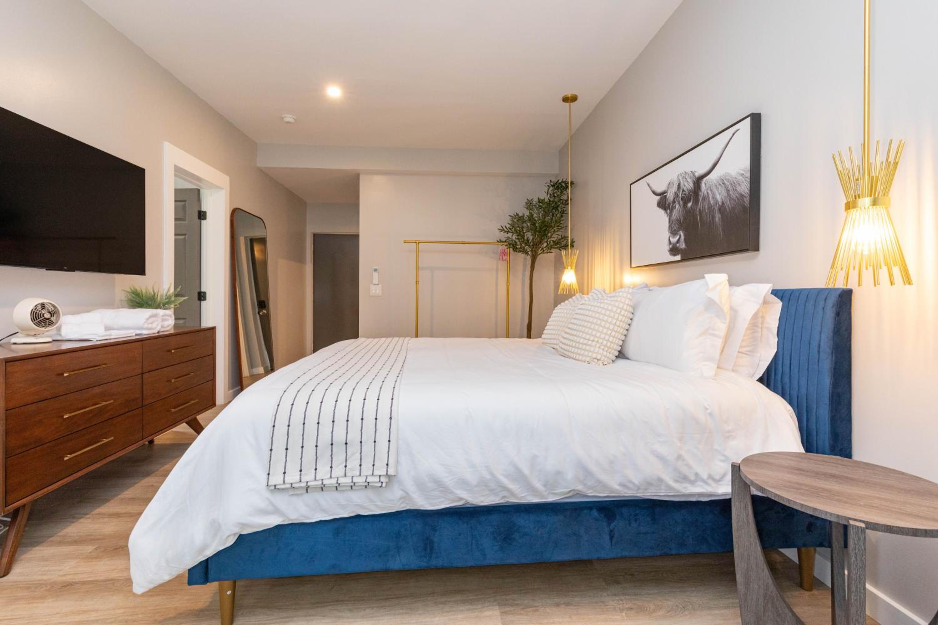 Deluxe King Suite photo 1