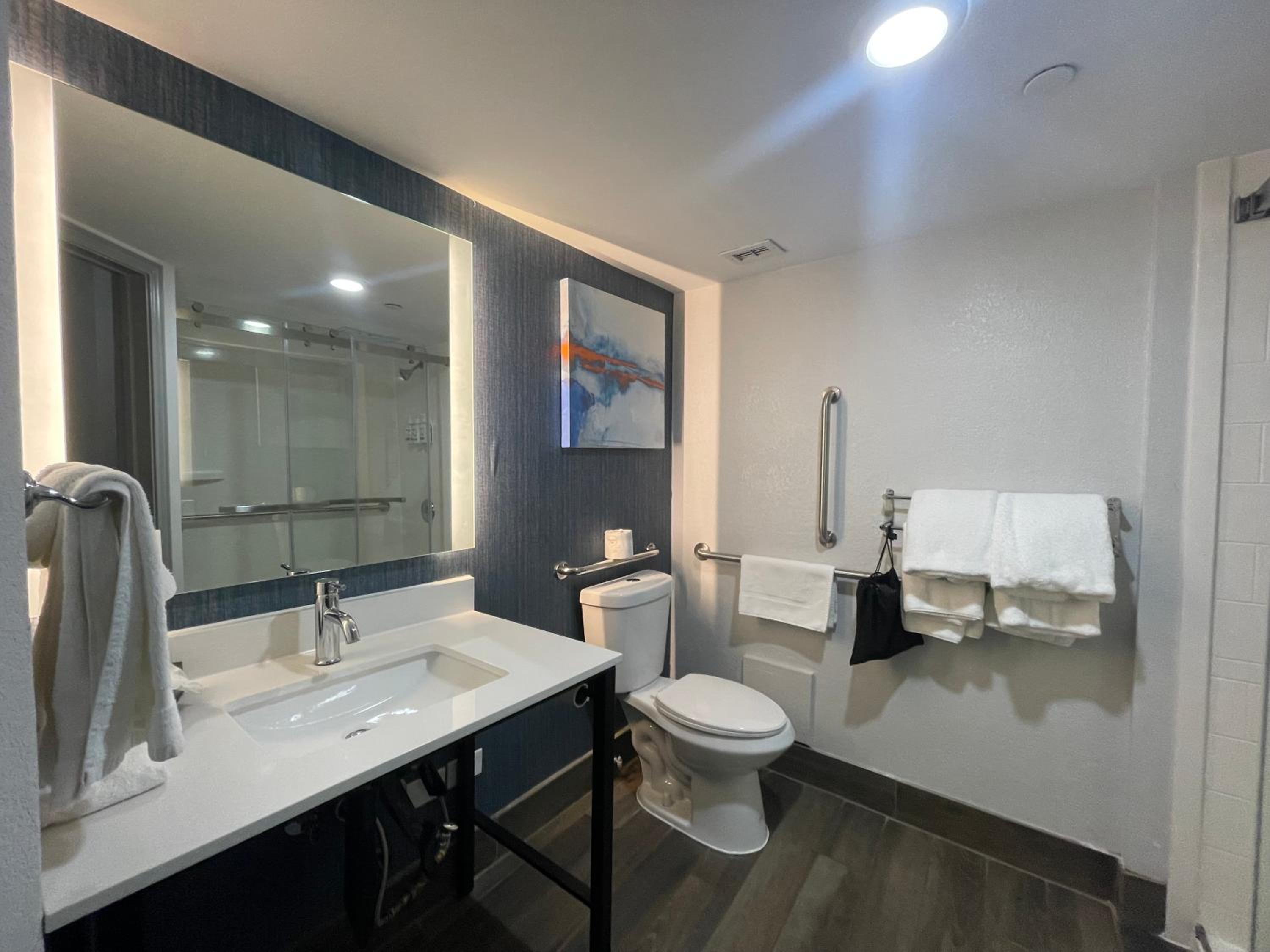 King Room - Mobility Accessible/Non-Smoking - Photo 3