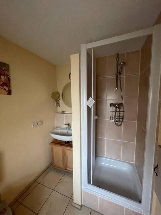 One-Bedroom Apartment photo 3