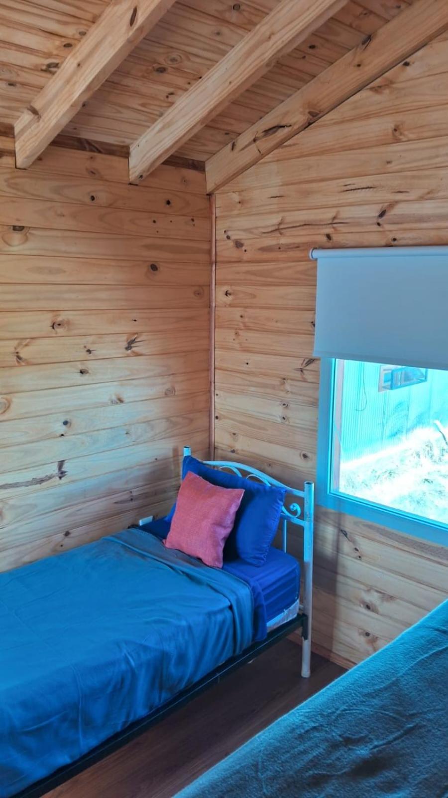Single Bed in Dormitory Room photo 1
