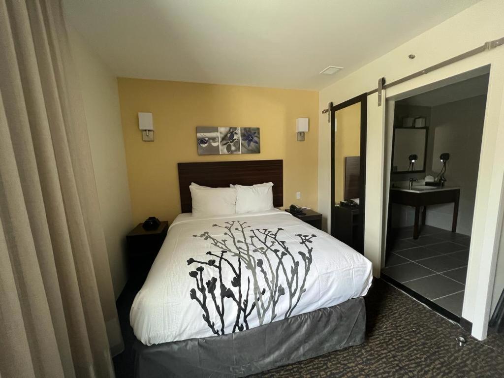 Double Room - Disability Access