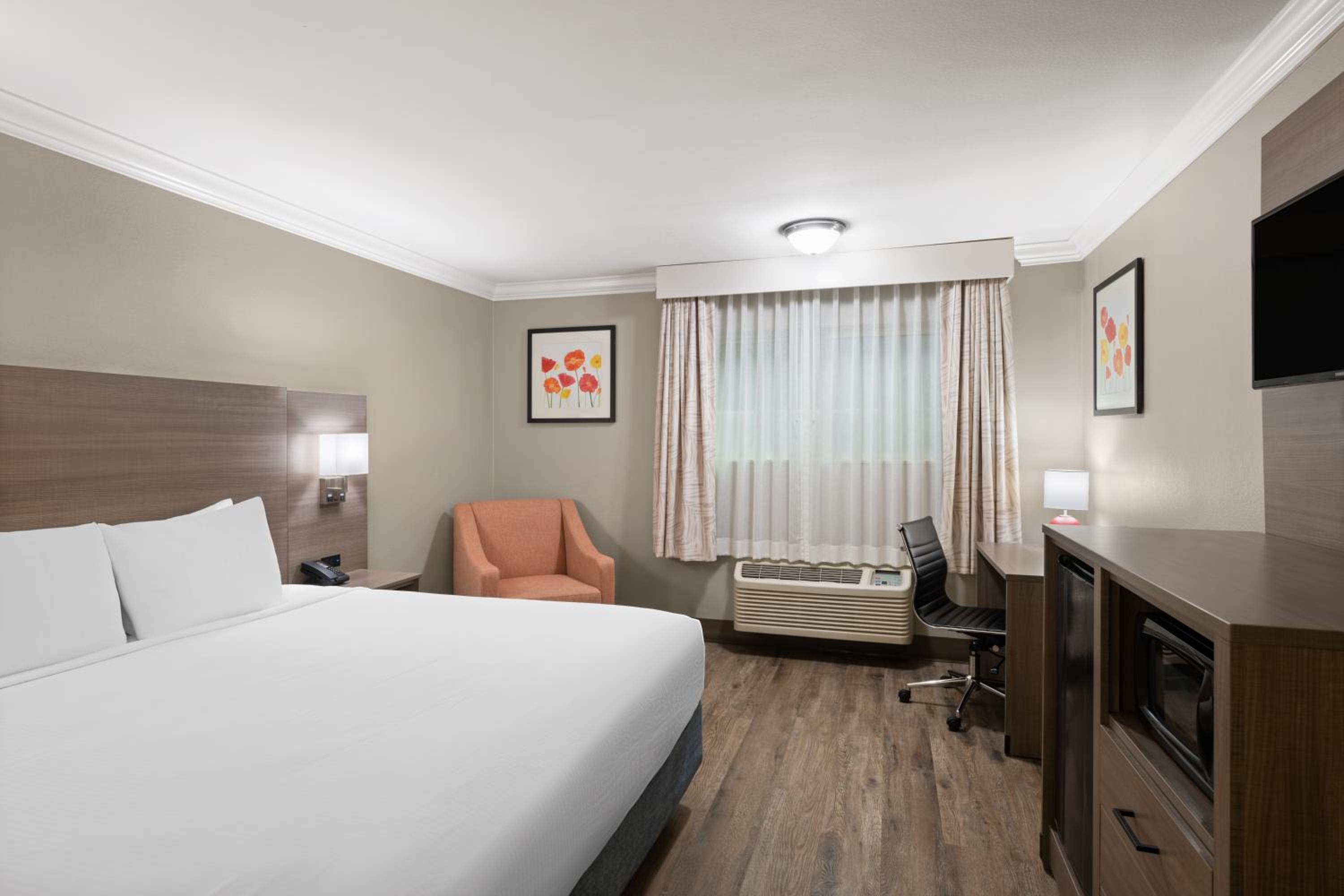 King Room - Non-Smoking - Photo 1