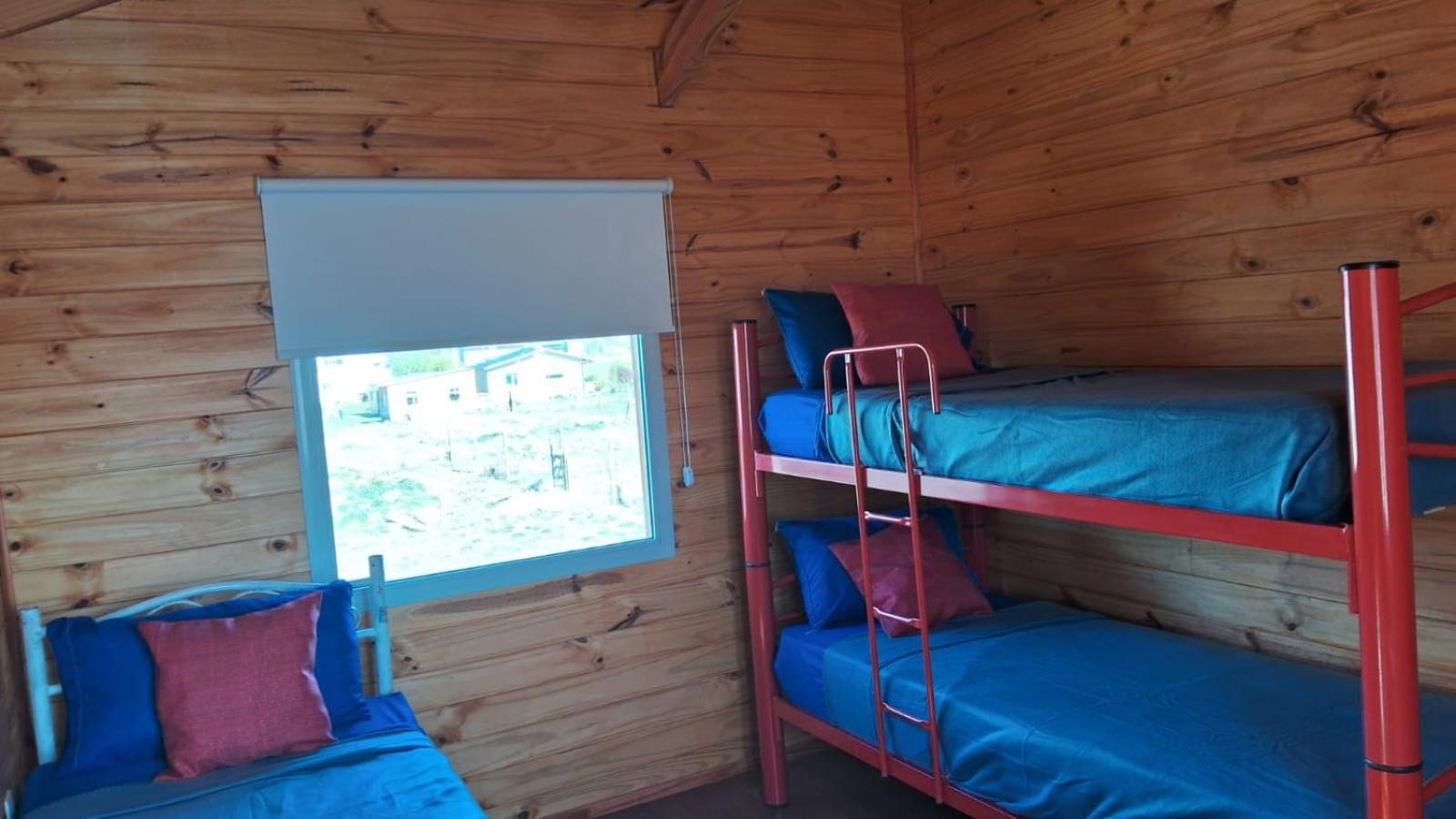 Single Bed in Dormitory Room photo 2