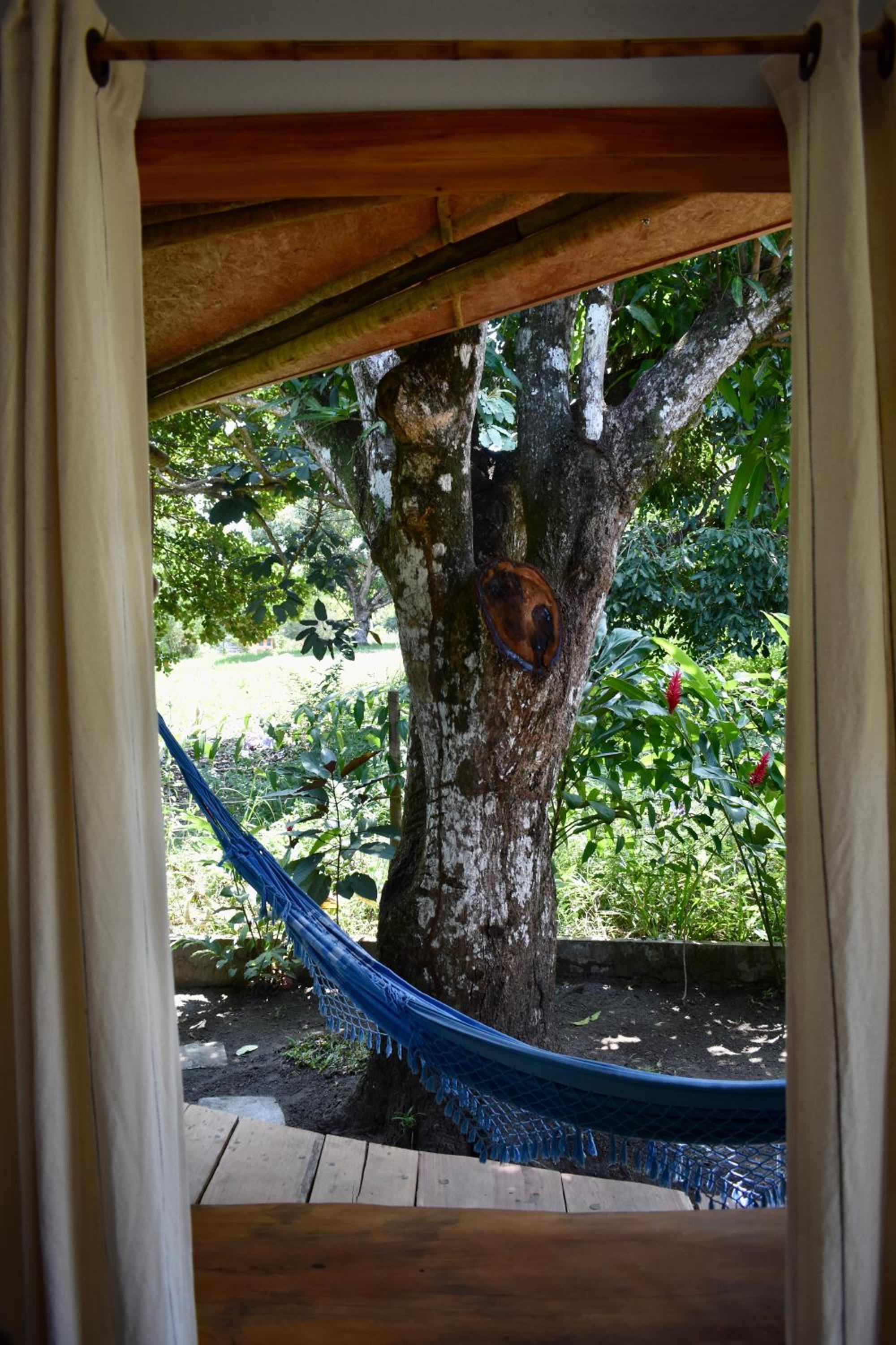 Suite with Garden View photo 2